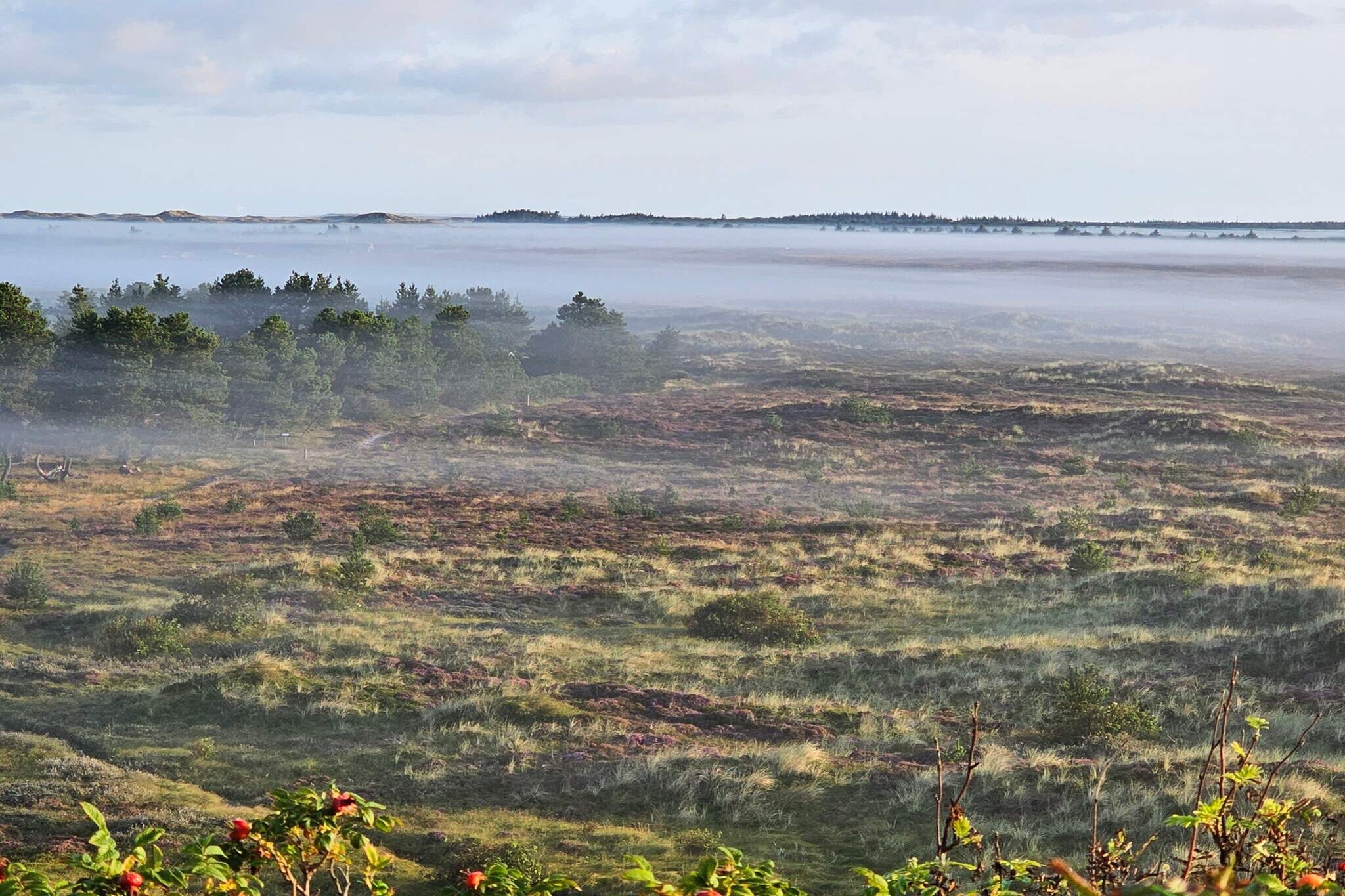 MOTEL UDSIGTEN-Nicht zugeordnet