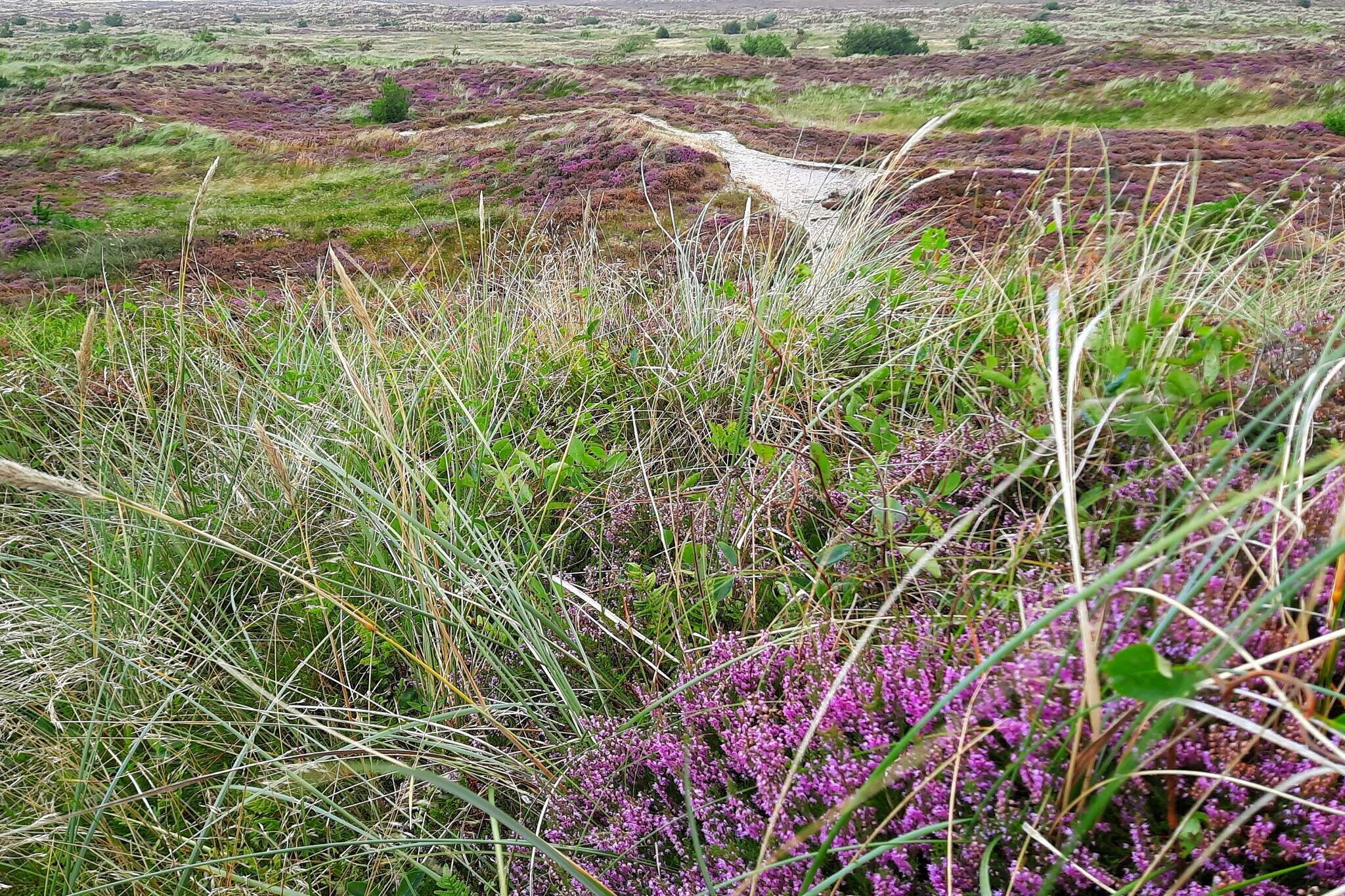 MOTEL UDSIGTEN-Nicht zugeordnet