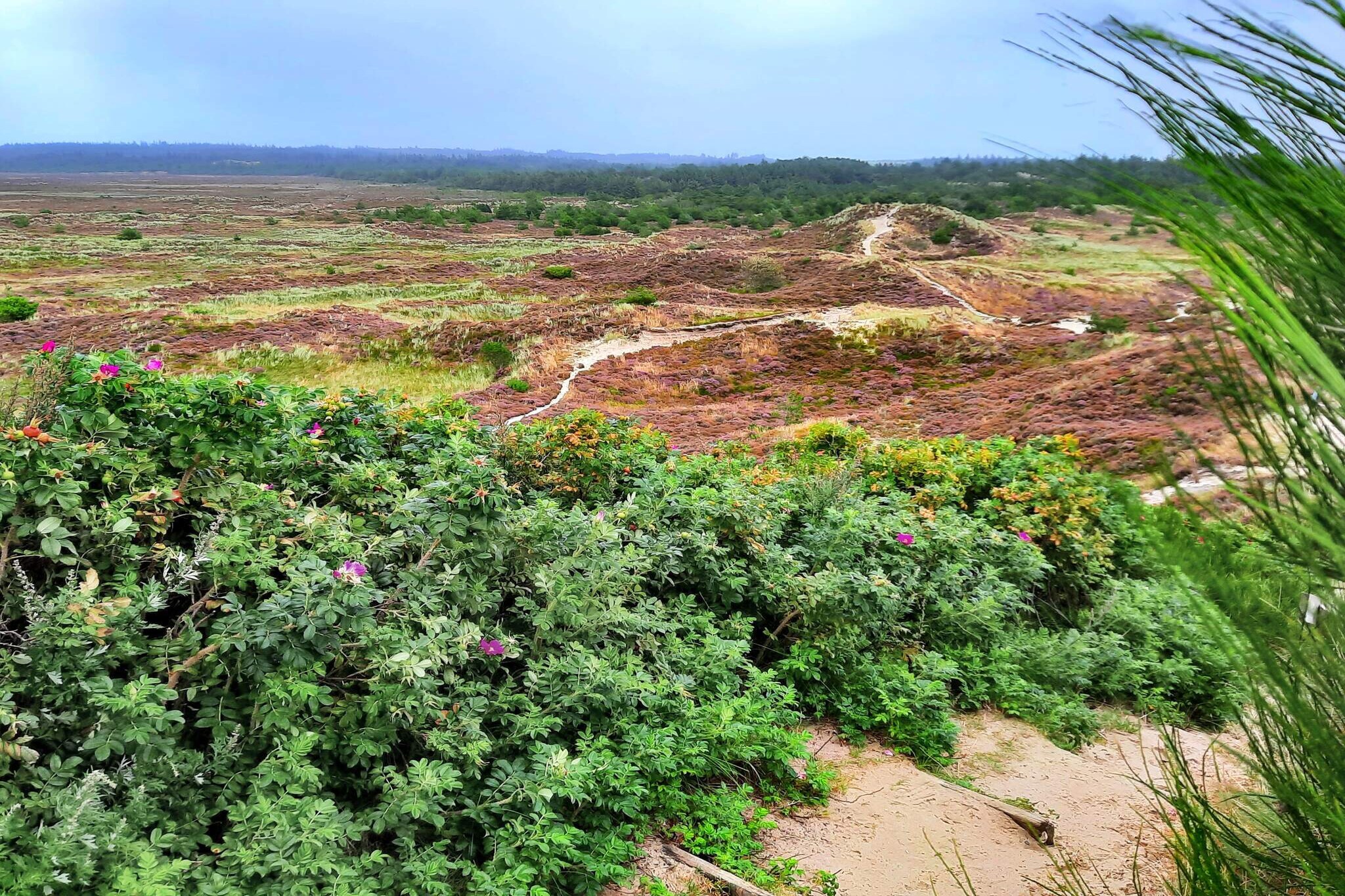 MOTEL UDSIGTEN-Nicht zugeordnet