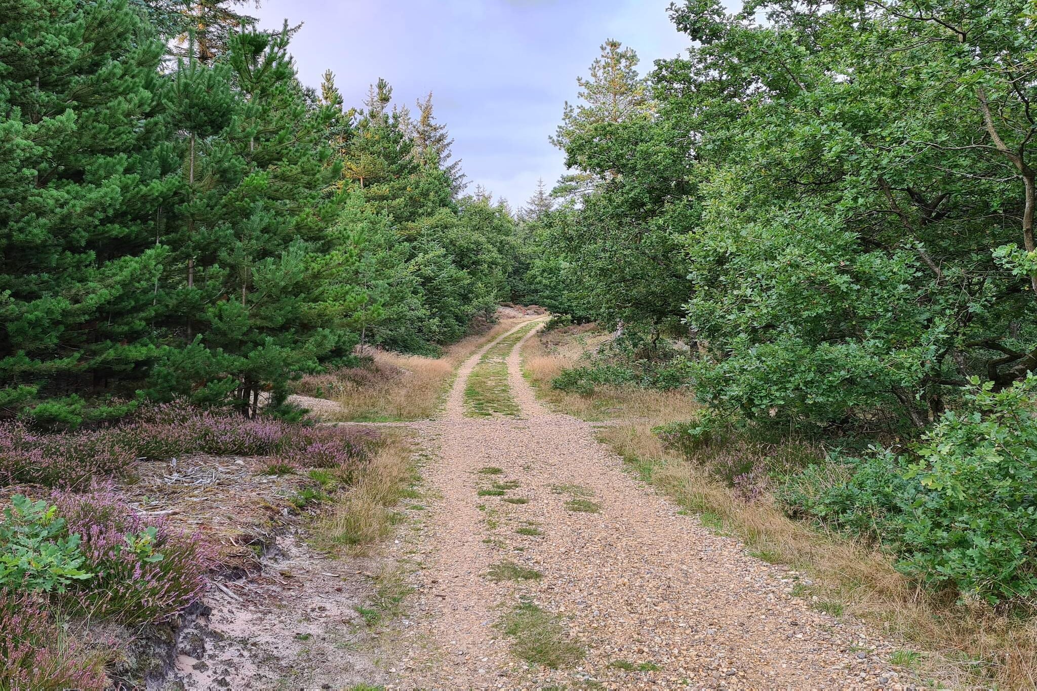 MOTEL UDSIGTEN-Nicht zugeordnet