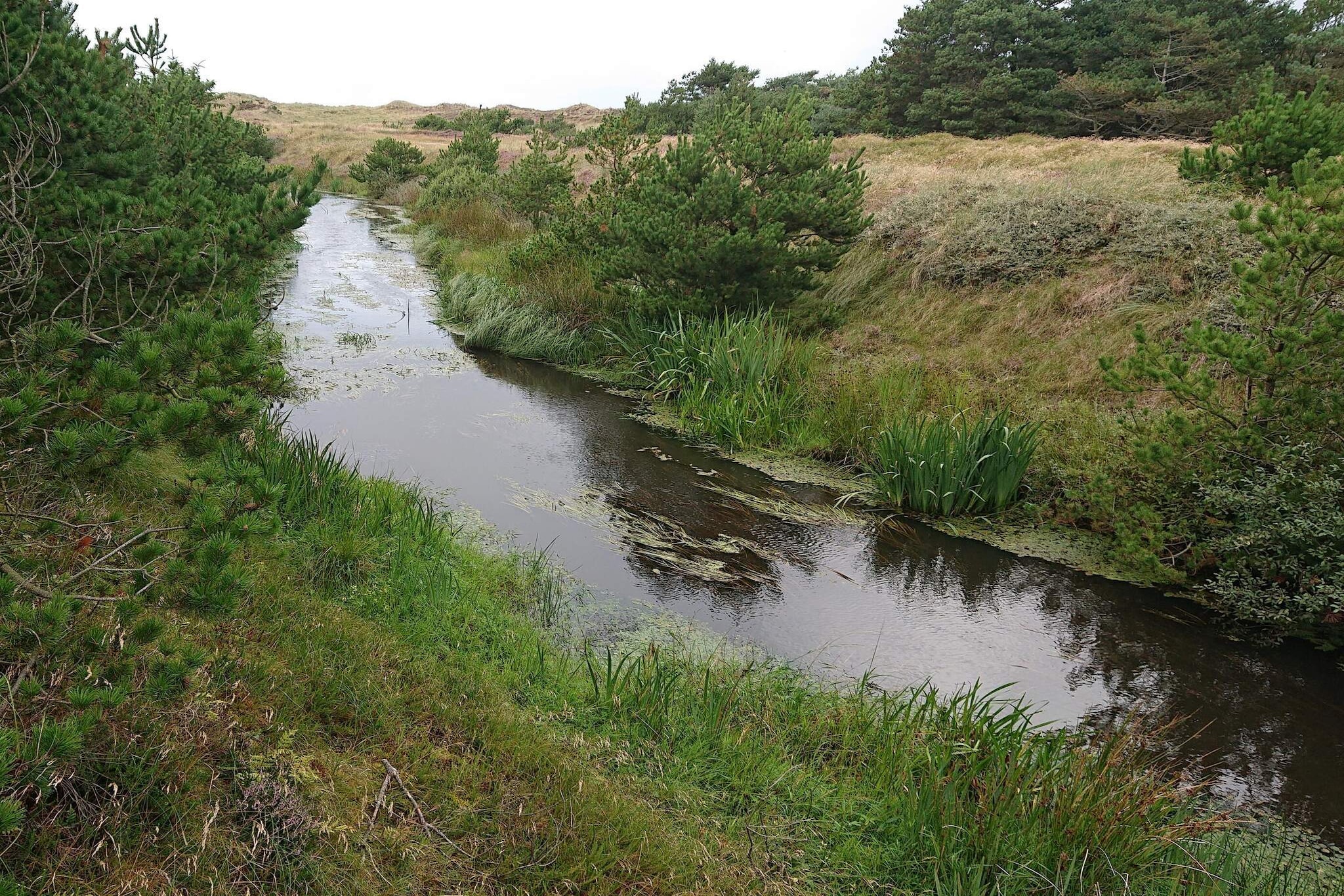 2 Personen Ferienhaus in Vejers Strand-By Traum-Wasserblick