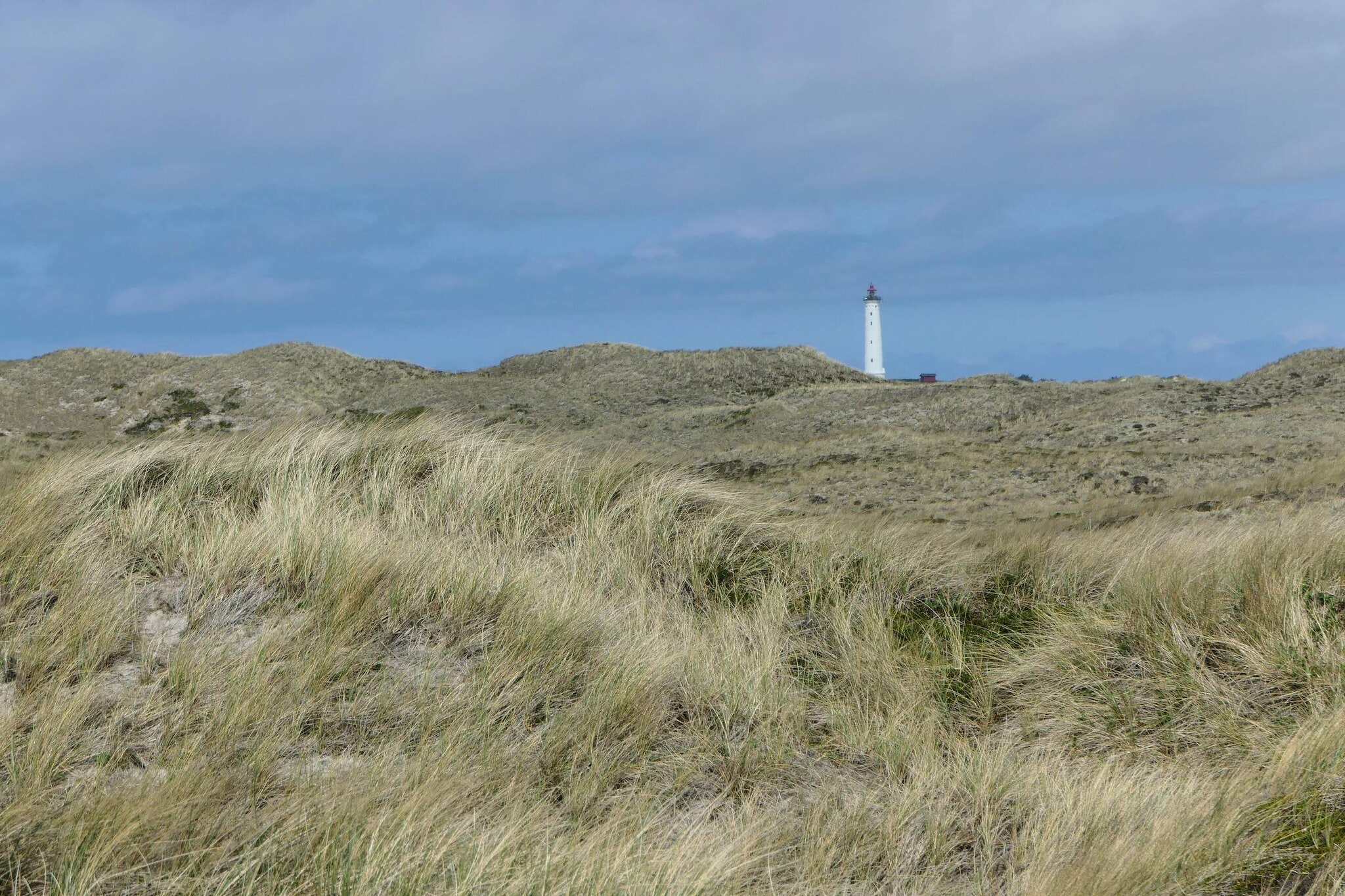 Vestjylland