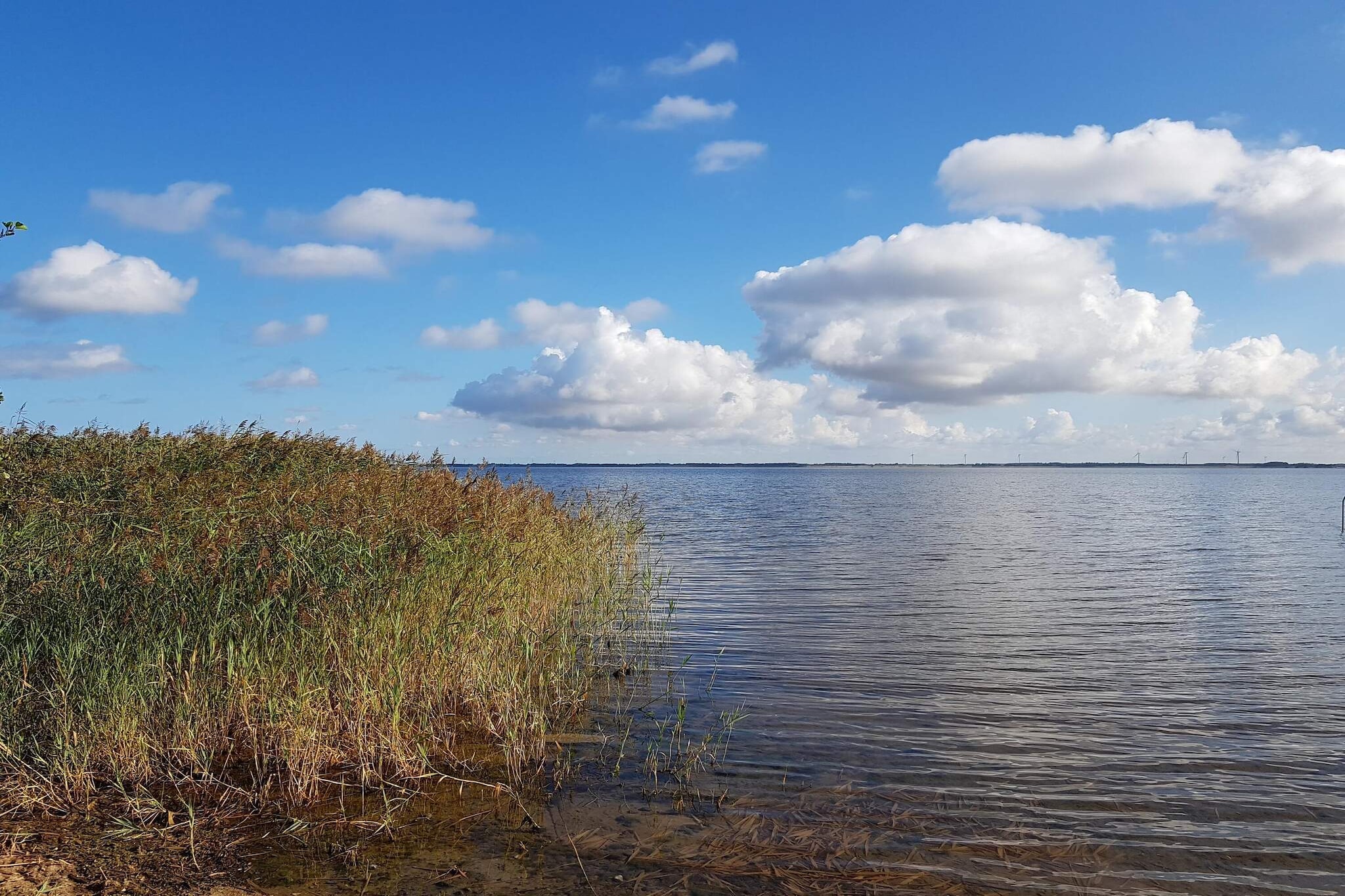 Water View