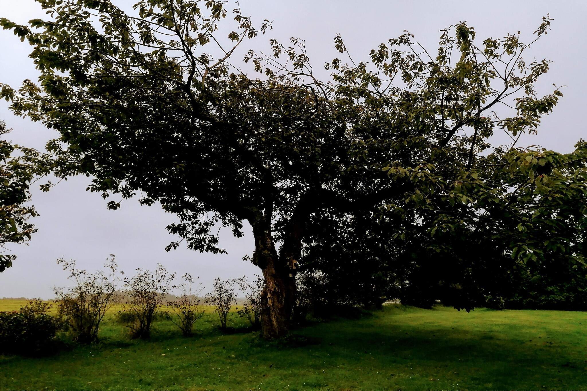 Luxe strandhuis met zwembad -- By Traum Ferienwohnungen