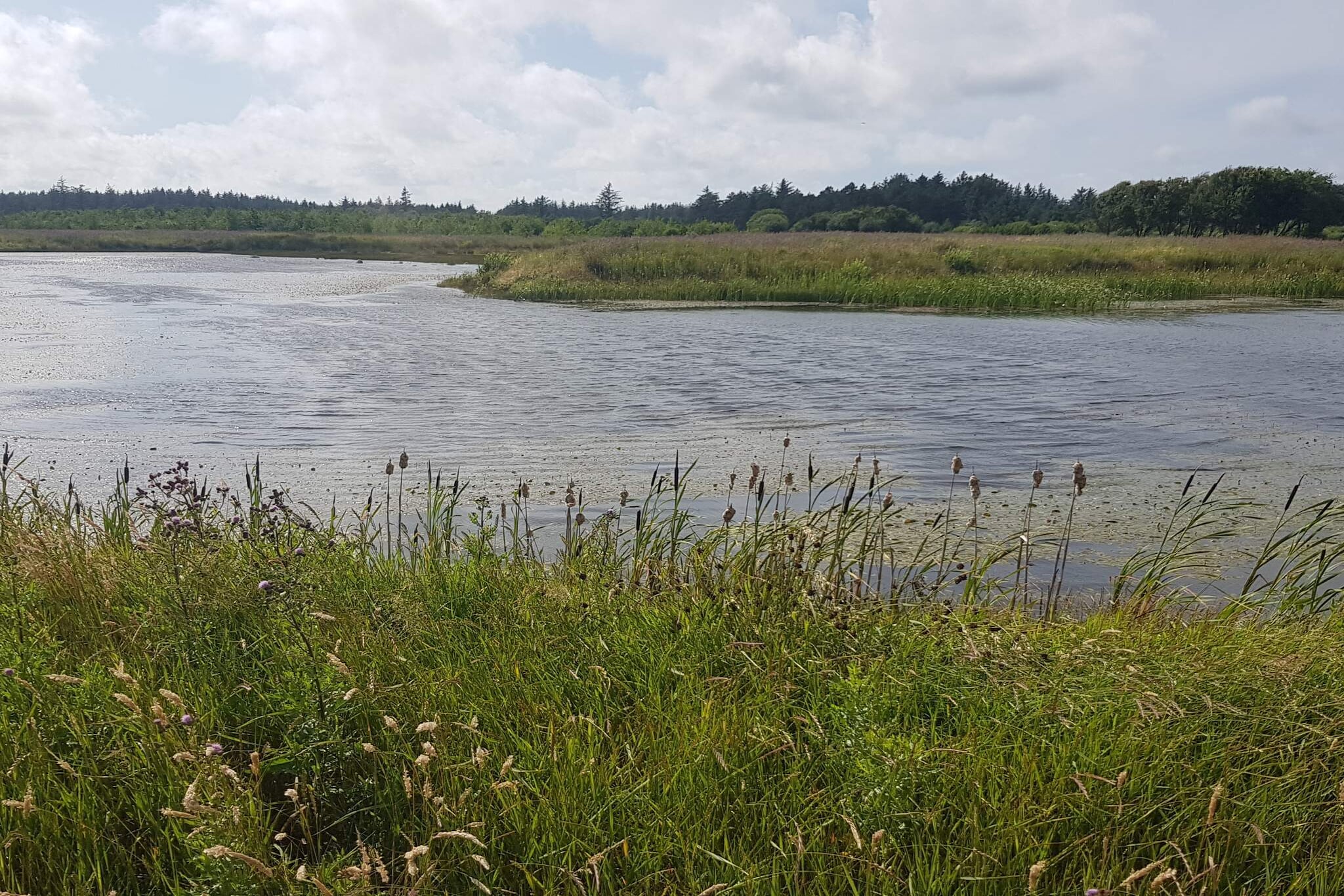 Moderne retraite in Lokken -- By Traum Ferienwohnungen-Waterzicht