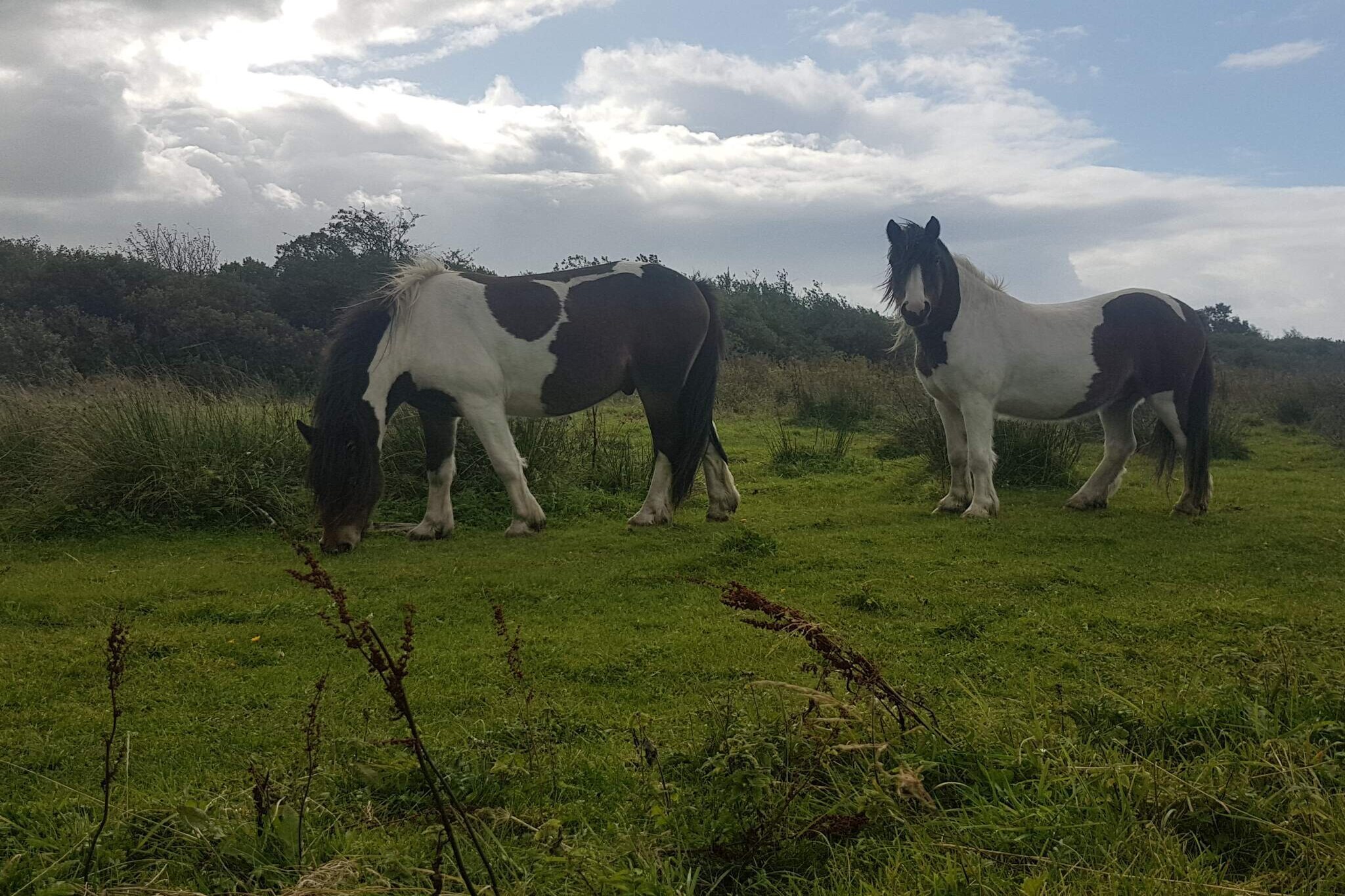 6 person holiday home in Fjerritslev-By Traum