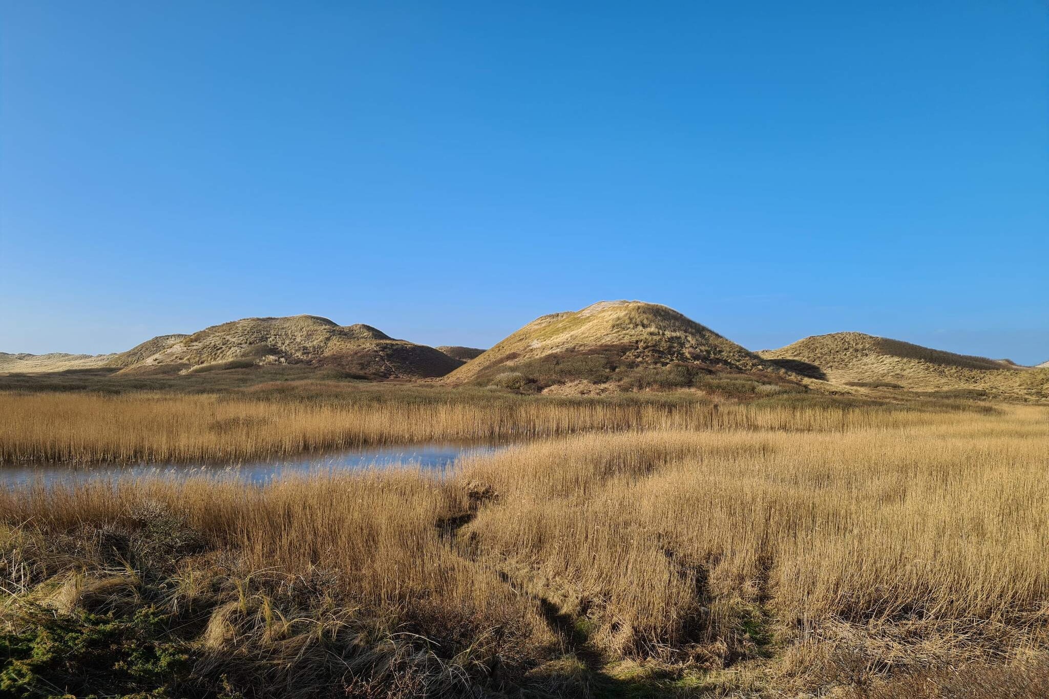 Internet Access DSL, open kitchen(cooker(electric), hood, coffee machine, microwave, dishwasher, fridge-freezer, washing machine), Living/bed room(electric heating)(TV(satellite, german television channels, danish TV channels (DR1 and TV2)), DVD player, CD player, stereo unit), bedroom(electric heating)(double bed, high chair), bedroom(electric heating)(2x single bed), bedroom(electric heating)(4x bunk bed), bathroom(washbasin, shower, toilet), heating(electric), terrace(roofed), garden furniture, BBQ, deckchairs, play equipment