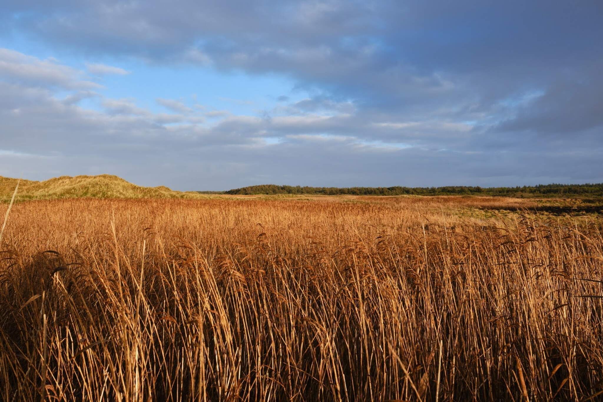 6 persoons vakantie huis in Blokhus-By Traum-Niet-getagd