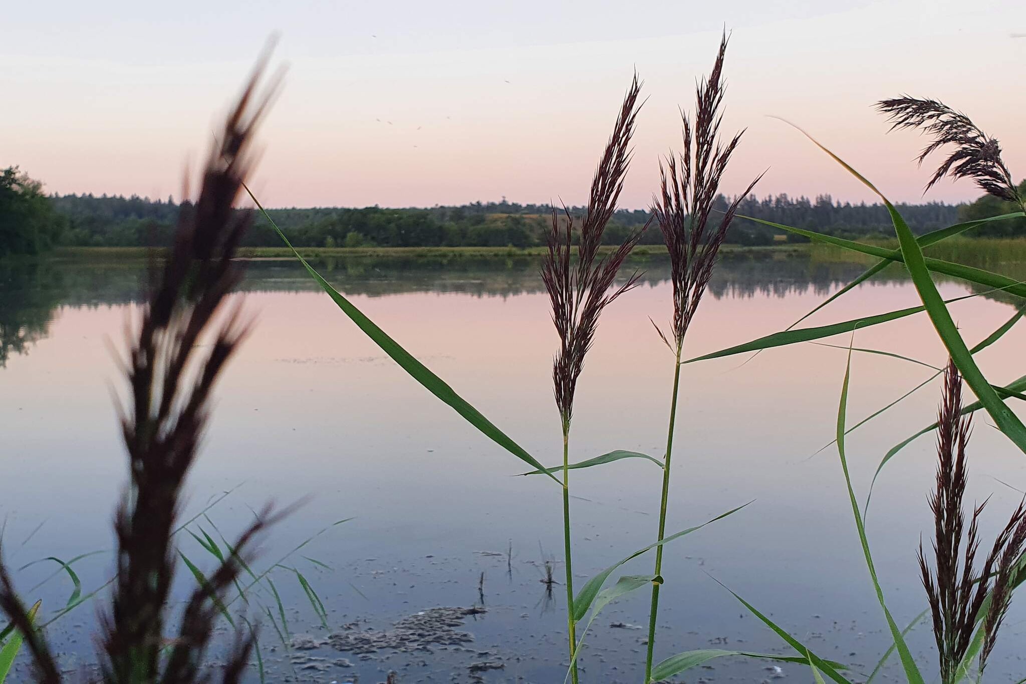 Maison de vacances pour 2 a Ejstrupholm-By Traum-Vue sur l'eau