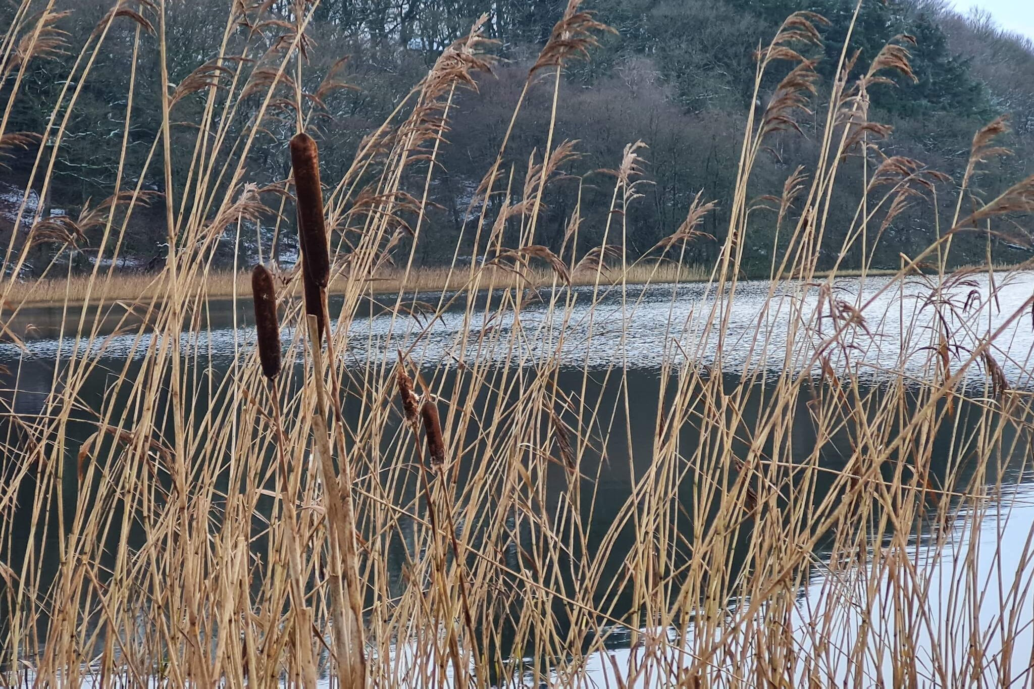 Maison de vacances pour 2 a Ejstrupholm-By Traum-Vue sur l'eau