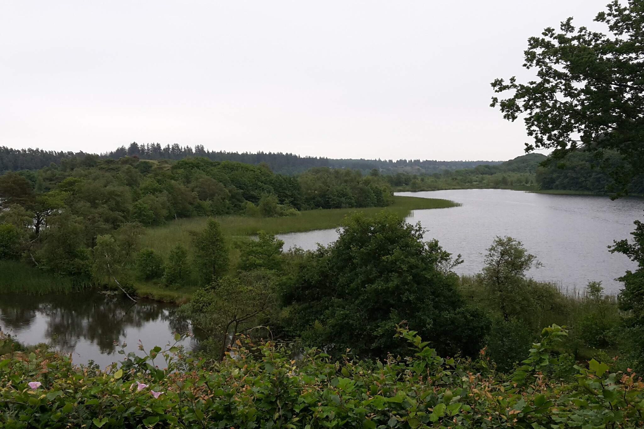 Maison de vacances pour 2 a Ejstrupholm-By Traum-Vue sur l'eau