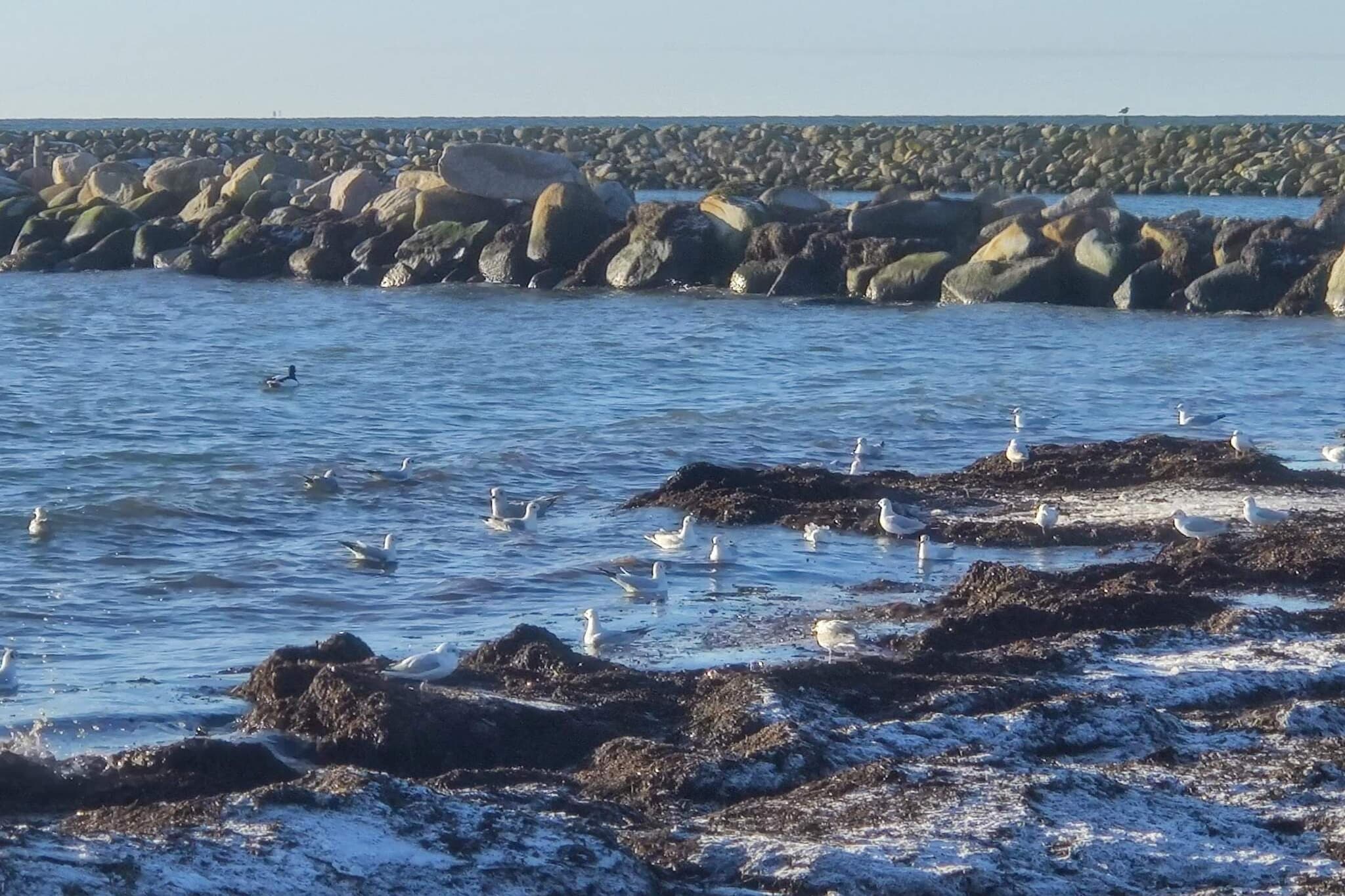 8 persoons vakantie huis in Harpelunde-By Traum-Waterzicht