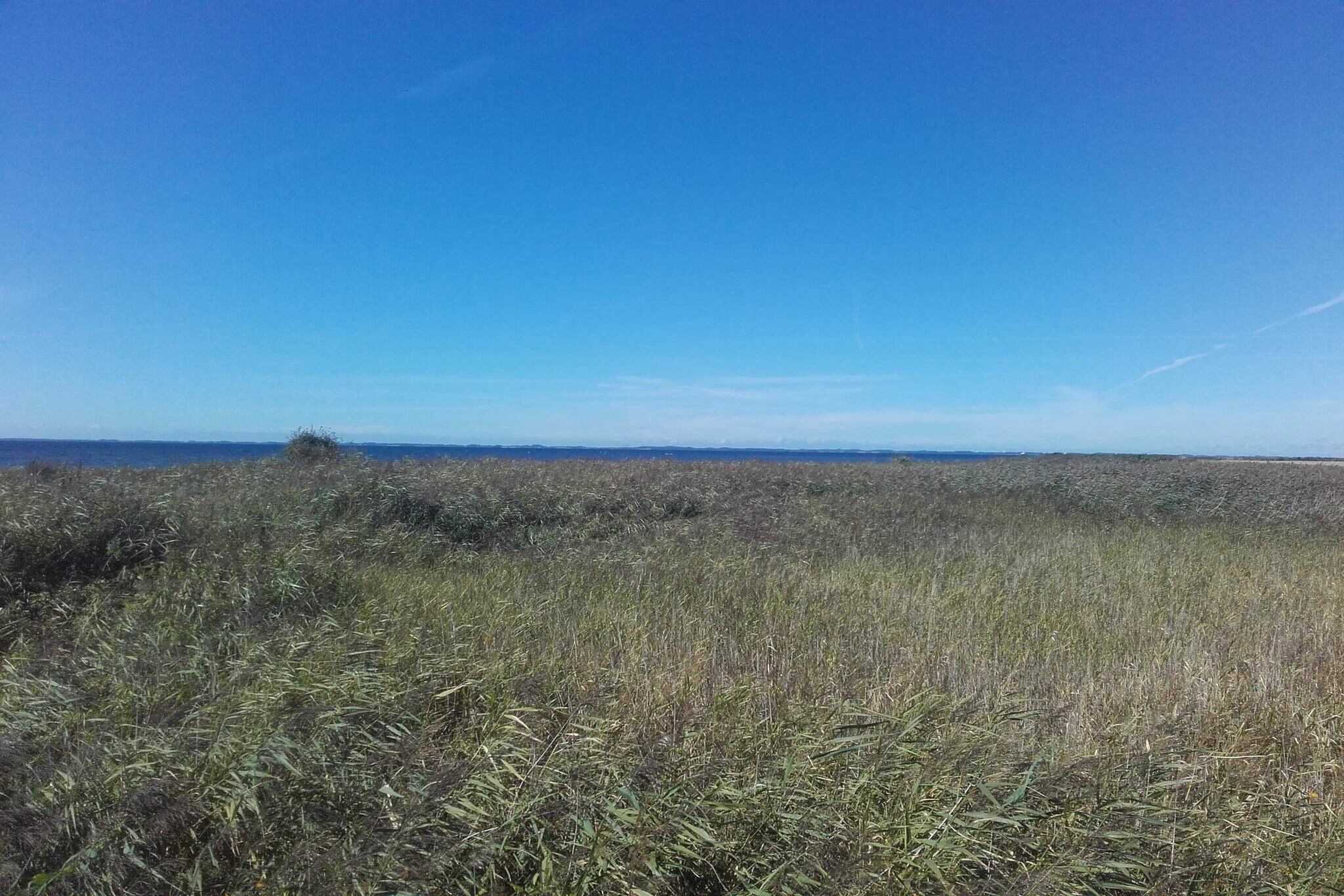 8 persoons vakantie huis in Harpelunde-By Traum-Niet-getagd