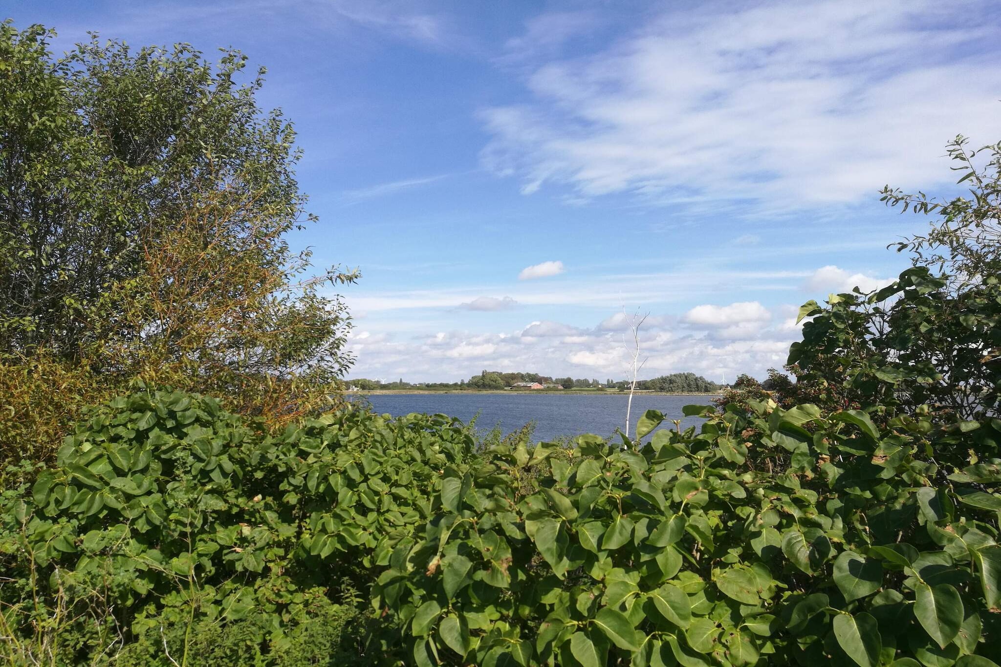 8 persoons vakantie huis in Harpelunde-By Traum-Waterzicht