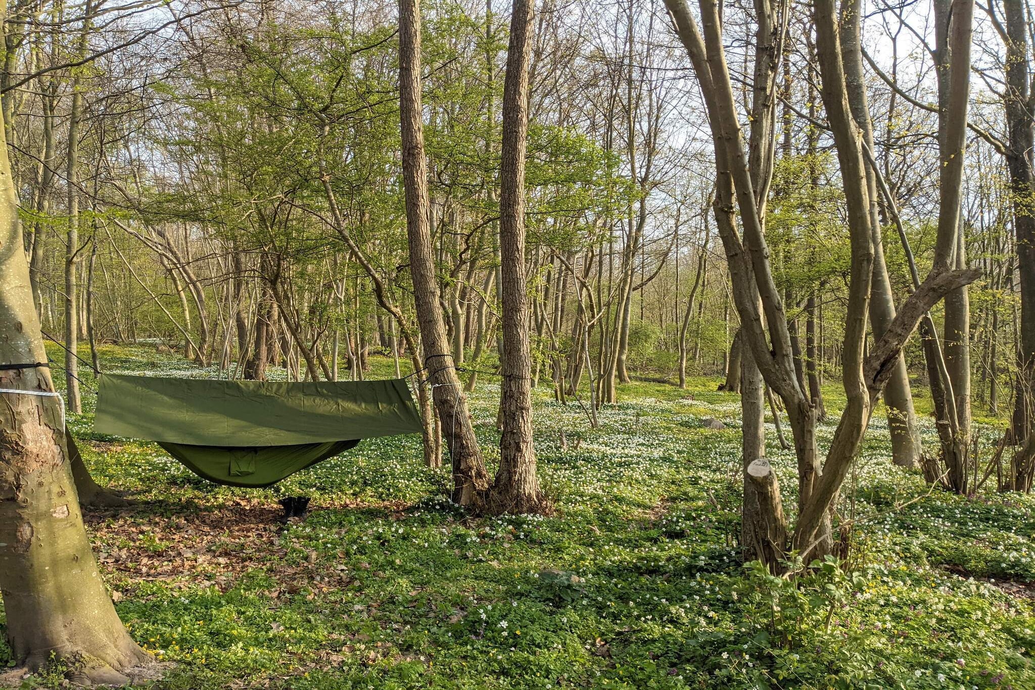 Luxus-Ruckzug am Meer -- By Traum Ferienwohnungen-Nicht zugeordnet