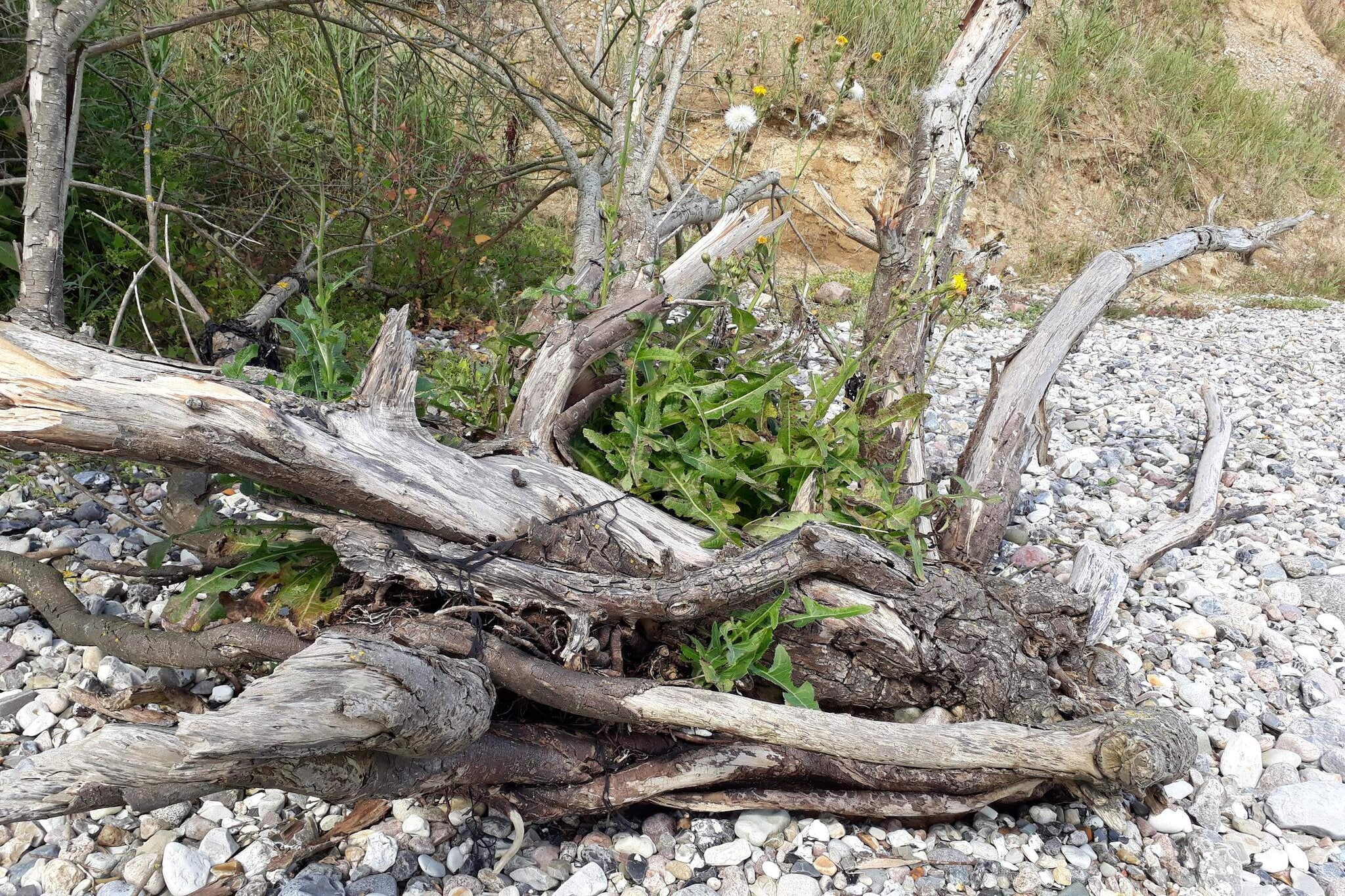 6 persoons vakantie huis in Haderslev-By Traum-Niet-getagd