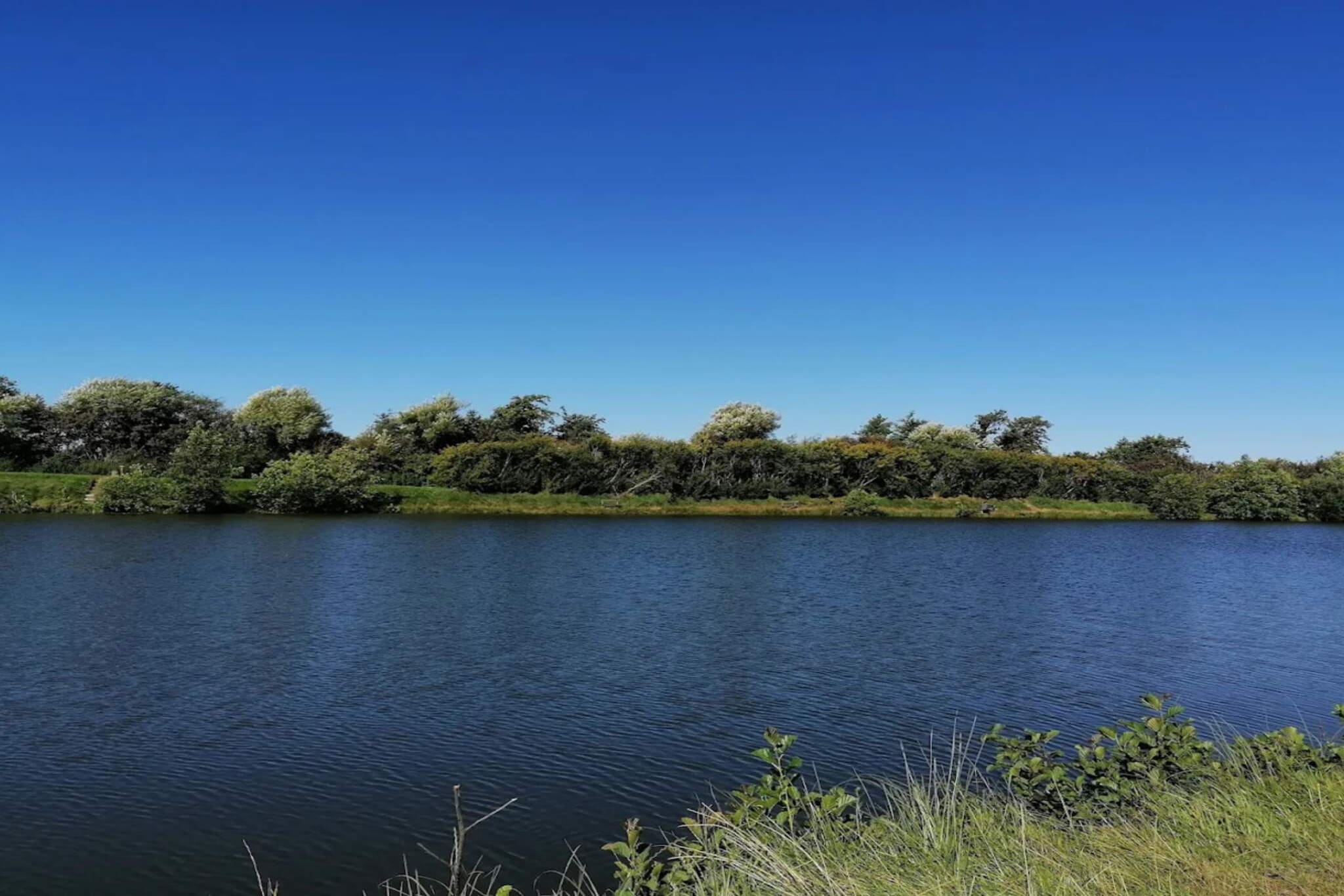 6 person holiday home in Oksbøl-By Traum