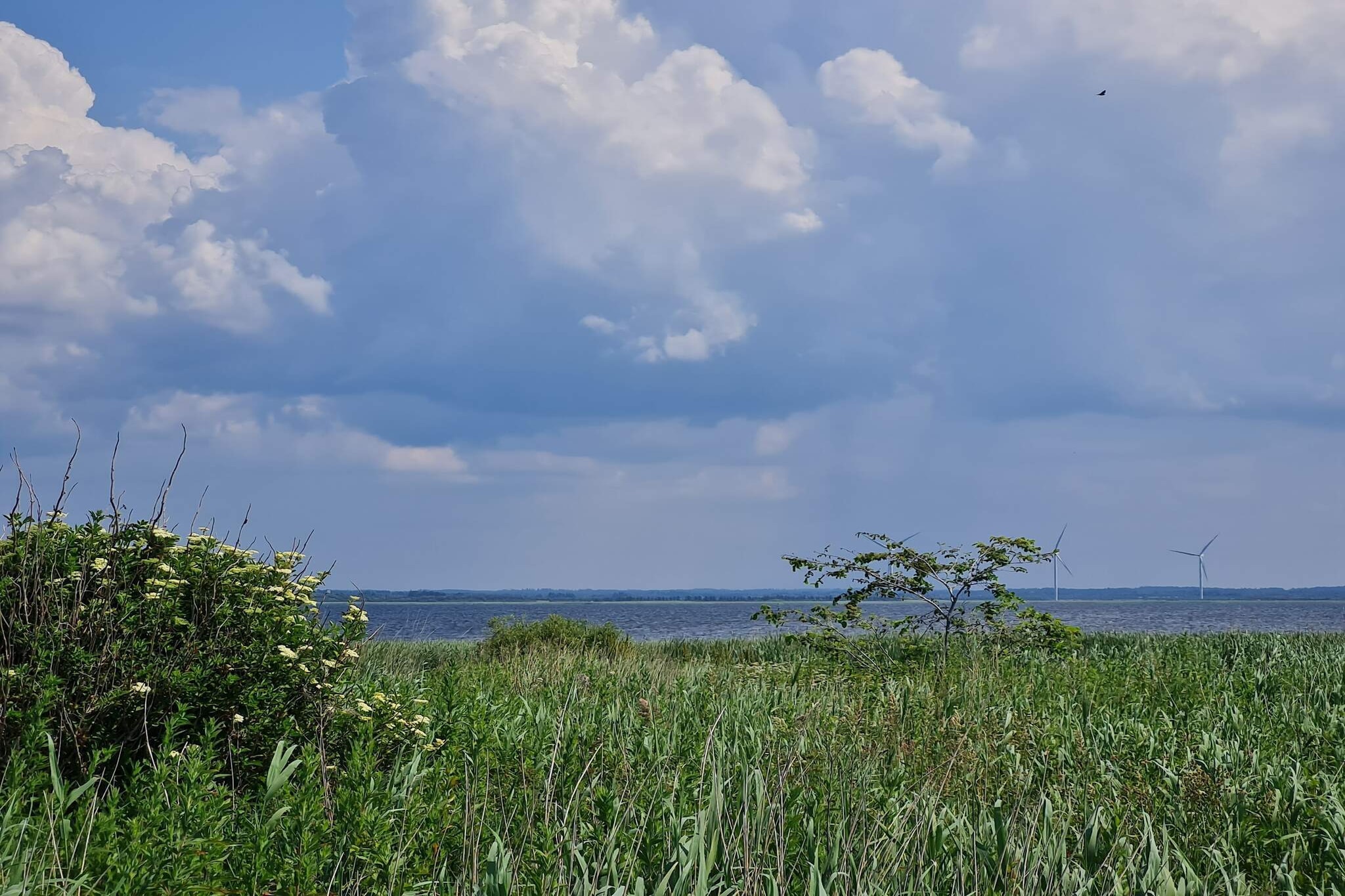 Luxe Spa Retreat bij Fjord -- By Traum Ferienwohnungen-Waterzicht