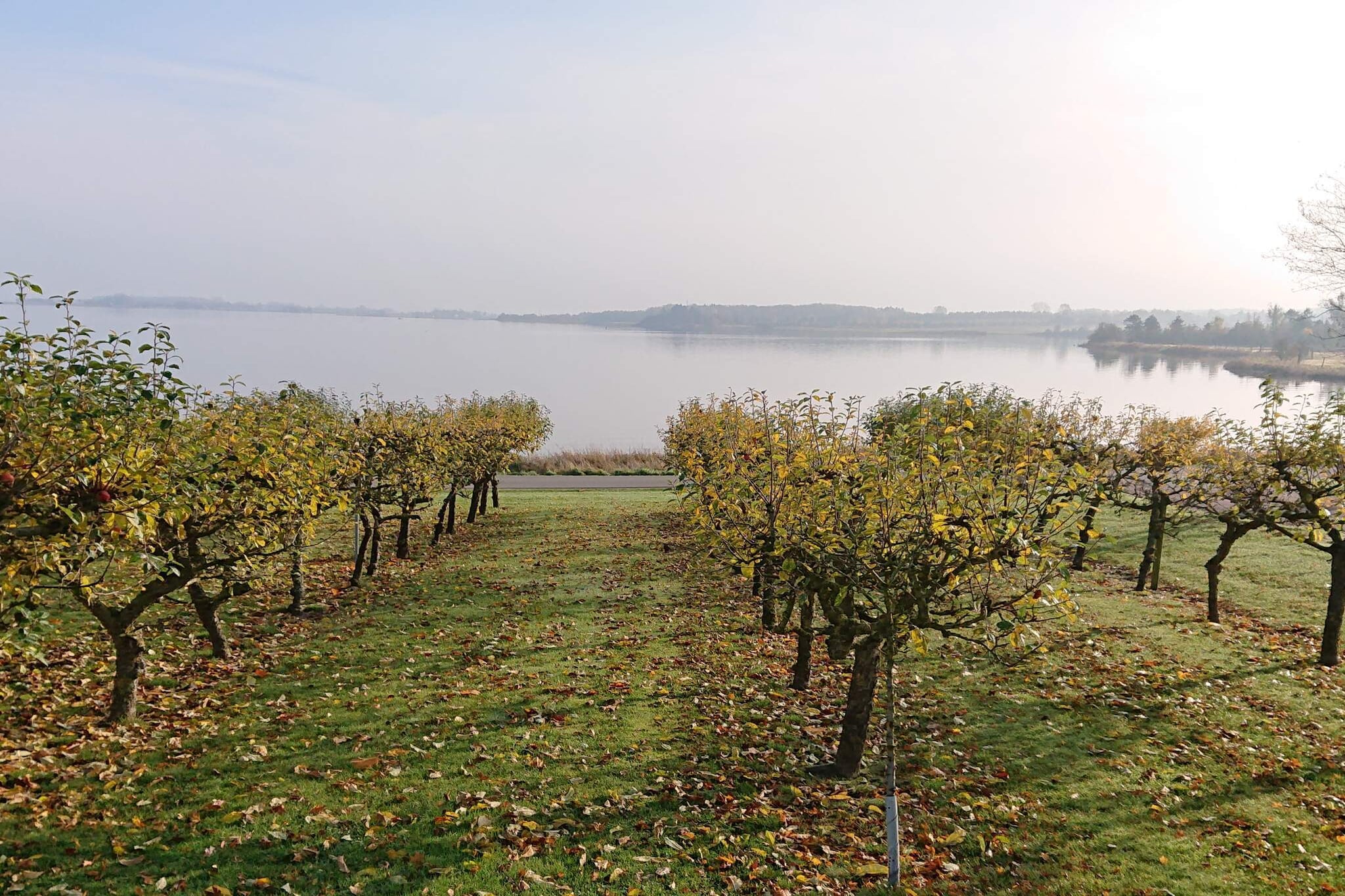 Maison de vacances pour 6 a Juelsminde-By Traum-Vue sur l'eau