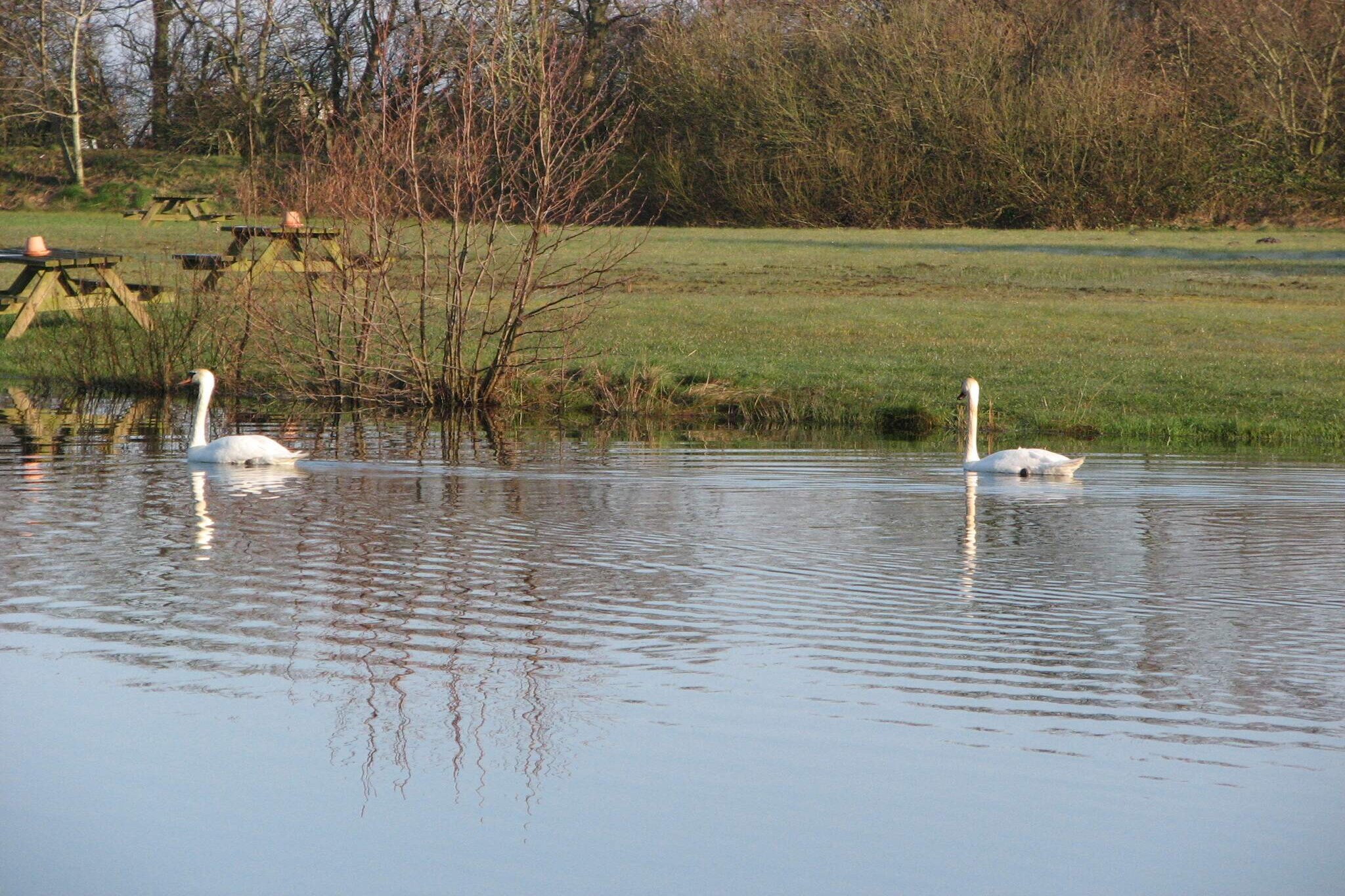 8 persoons vakantie huis in Tarm-By Traum-Waterzicht