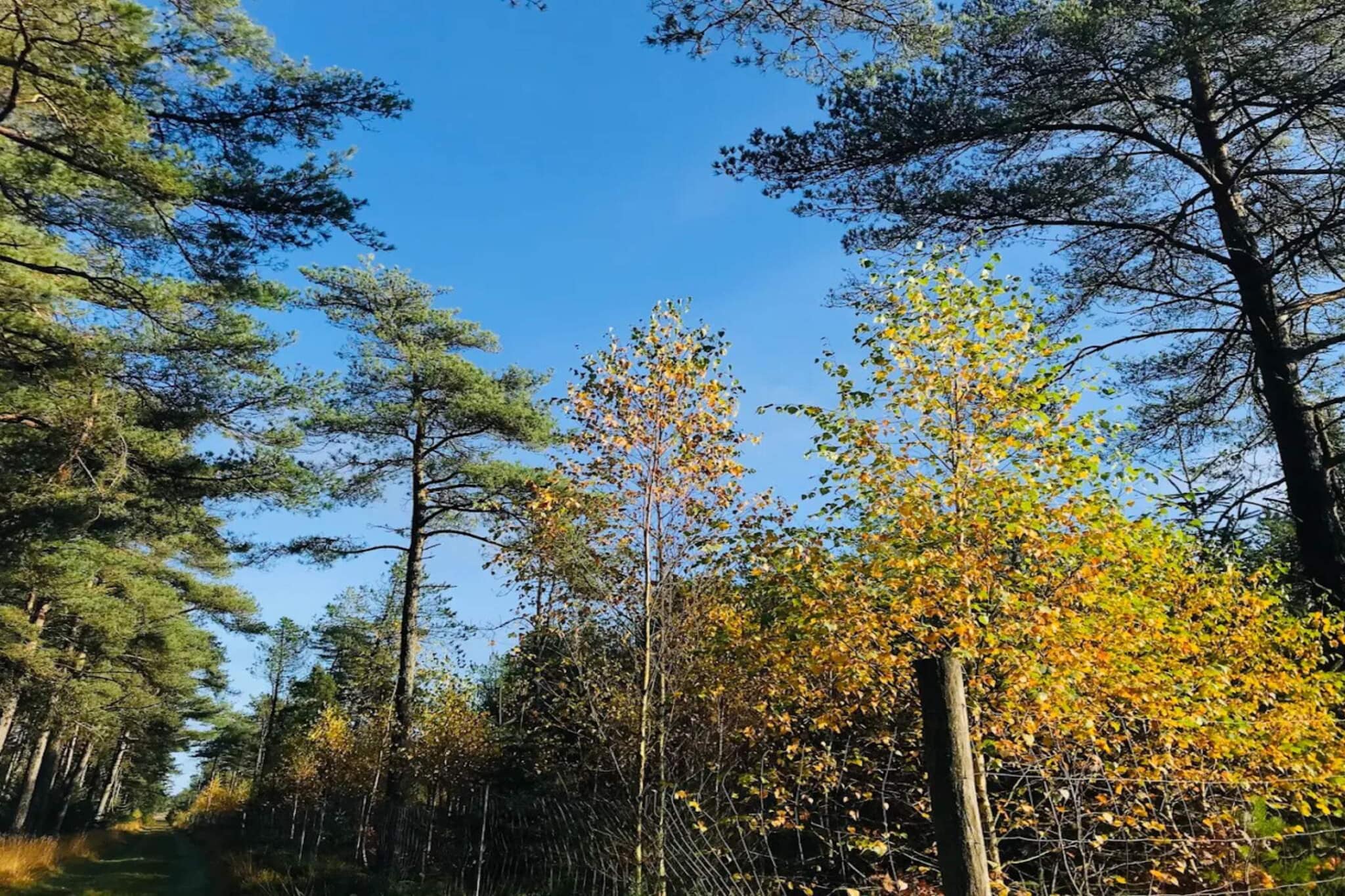 10 person holiday home in Fjerritslev-By Traum