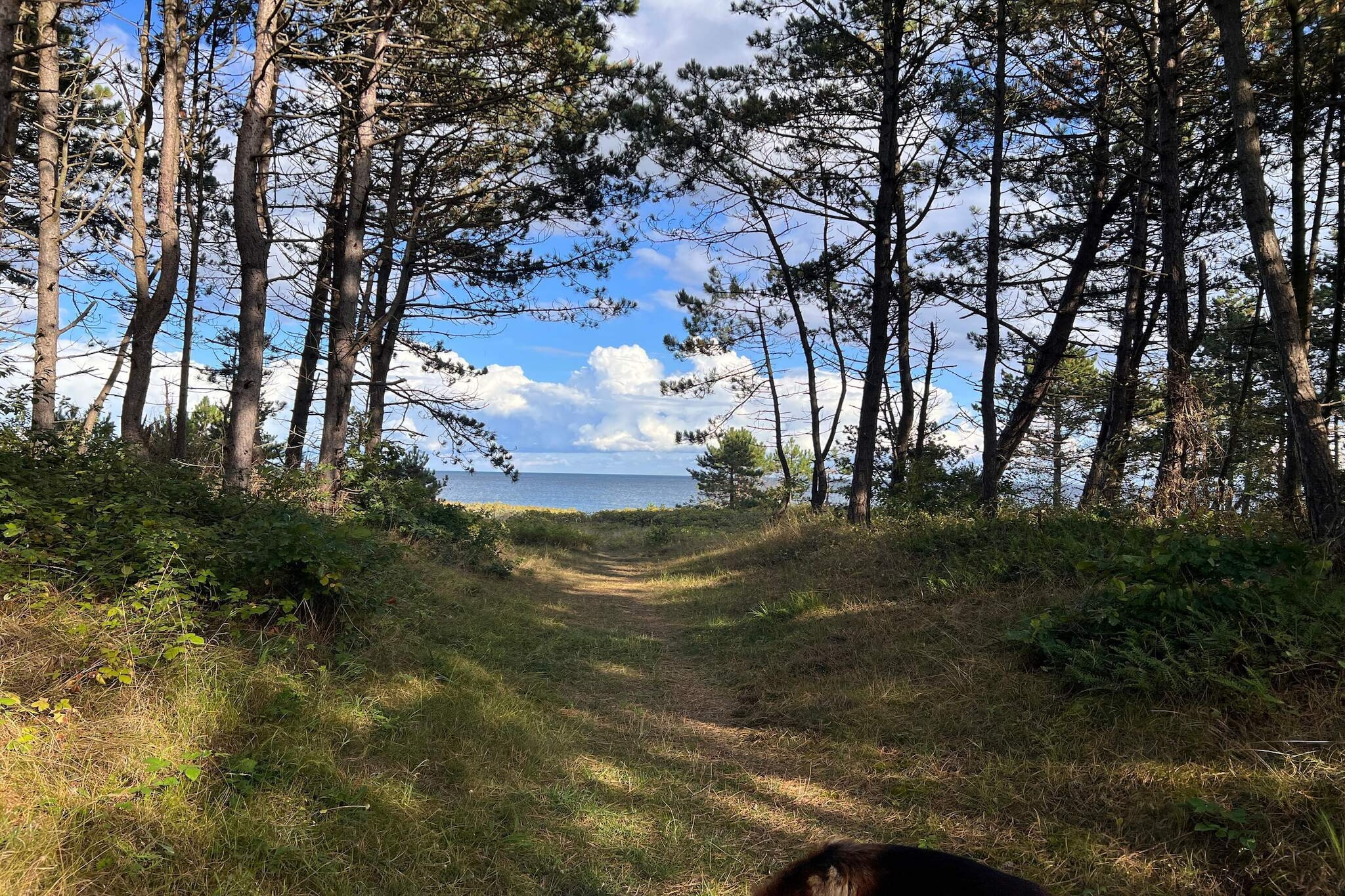 Holiday cottage for the guests who expect the best for their holiday. The owner has chosen the best materials for both the building and the furniture. 4 bedrooms with a double bed each. Underfloor heating throughout the entire house. 1st floor has a large kitchen-family room and a large living room. There are various indoor activities for a rainy day. The kitchen has a gas cooker, America style fridge/freezer and other good amenities. The terrace has a grill for cosy barbecues. There are 2 carports. No letting to youth and builder groups.A refundable deposit might be charged closer to your check-in date. The security deposit ensures a smooth stay and covers any additional services or consumption charges.This deposit covers utilities consumed during your stay and any additional services that may be taken.The final amount will be adjusted based on actual meter readings, actual usage of extra services, and any remaining balance will be refunded within 21 days after checkout.This deposit simply acts as a prepayment for charges that  you would anyways pay for, ensuring a seamless stay and check-out experience.