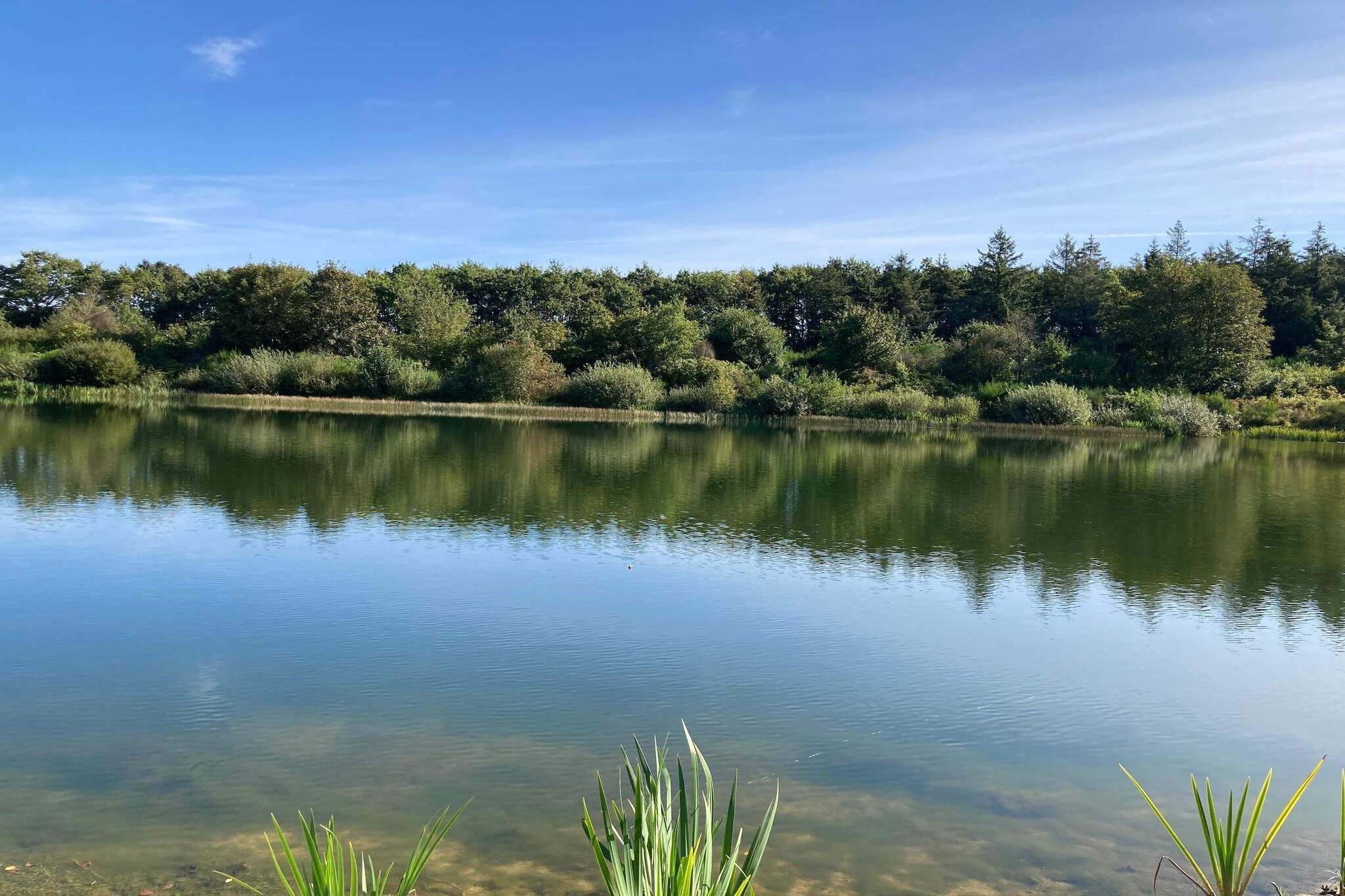 Maison de vacances pour 4 a Toftlund-By Traum-Vue sur l'eau