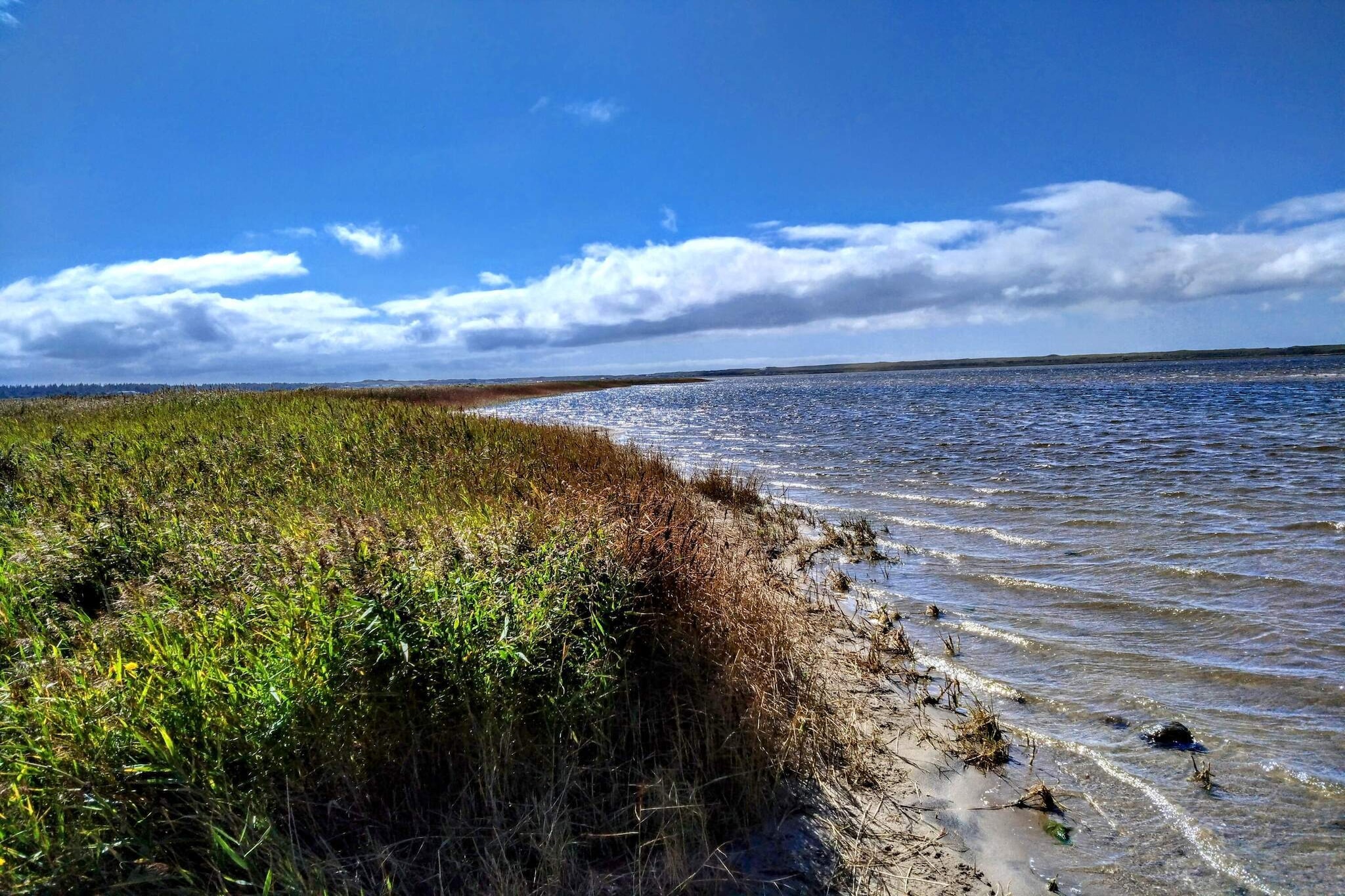 Gezellig strandhuis -- By Traum Ferienwohnungen-Waterzicht