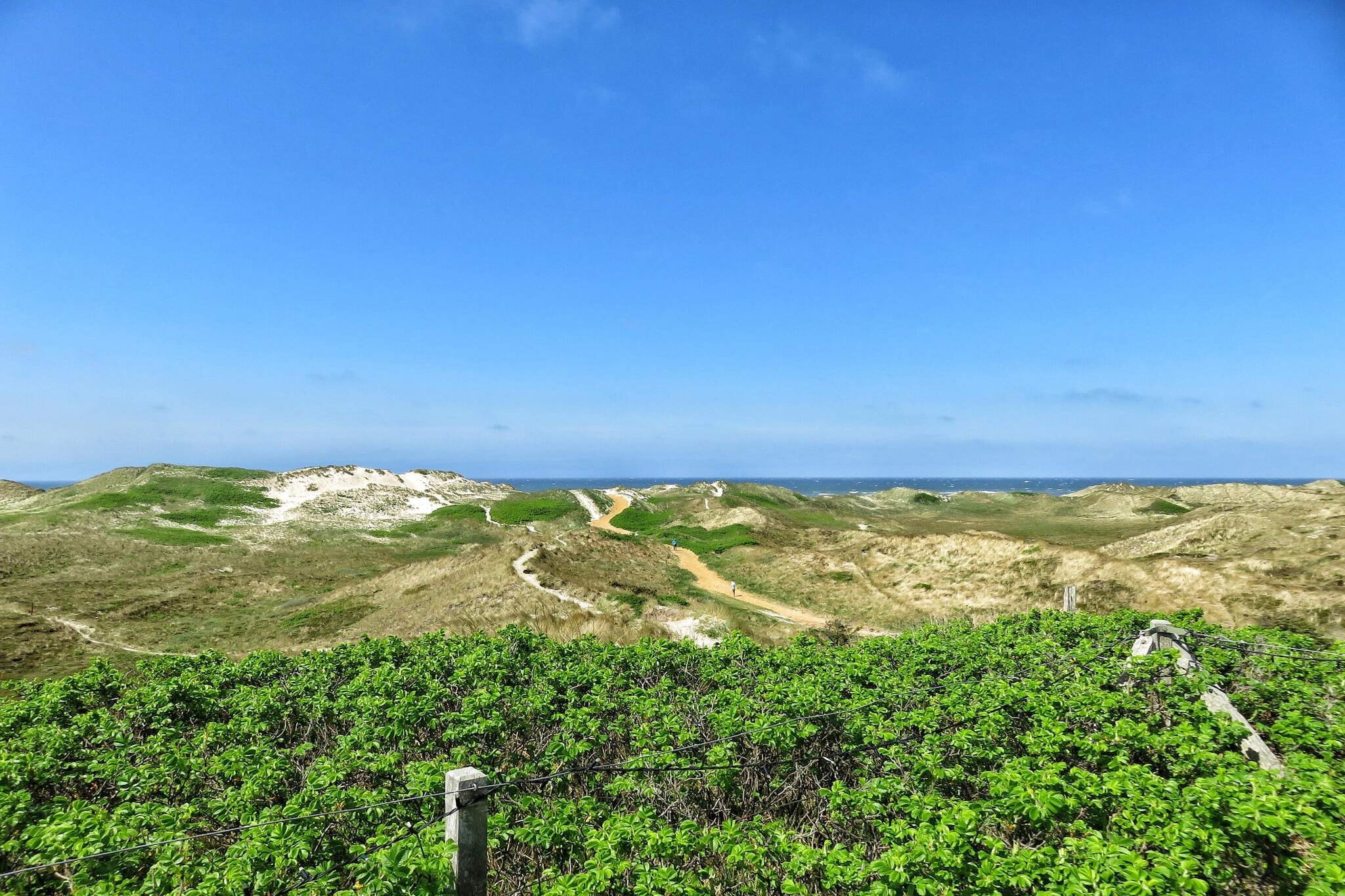 Internet Access DSL, open kitchen(cooker(electric), hood, coffee machine, microwave, dishwasher, fridge-freezer, washing machine), Living/bed room(TV(german television channels, danish TV channels (DR1 and TV2)), DVD player, CD player, stereo unit, high chair), bedroom(double bed, cot), bedroom(double bed), bedroom(2x bunk bed), bathroom(floor heating)(bathtub or shower, washbasin, toilet), Bubble bath(indoor, heated, 2 persons), heating(electric), terrace, BBQ, air to air heatpump