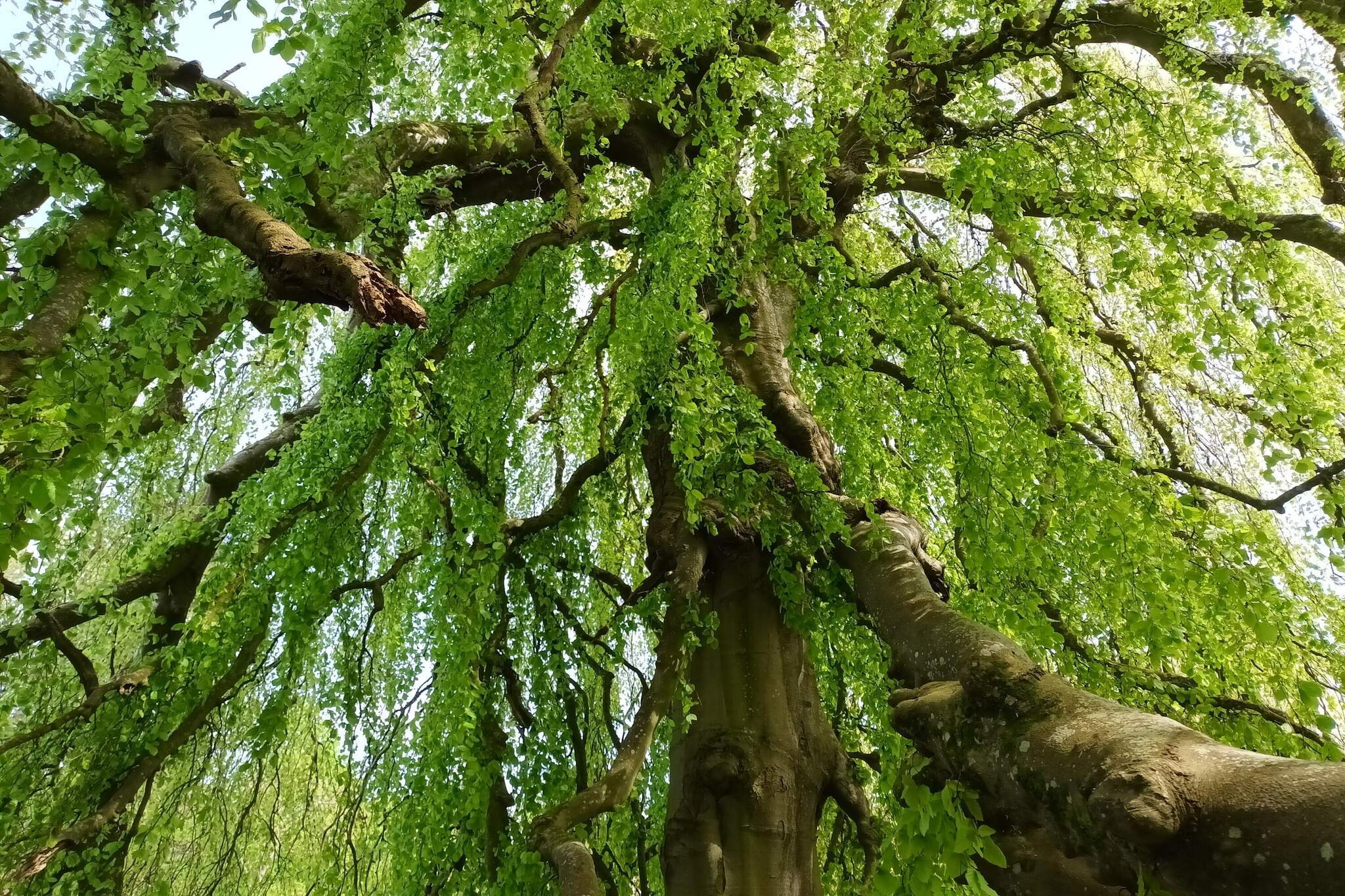 6 Personen Ferienhaus in Øster Assels-By Traum-Nicht zugeordnet