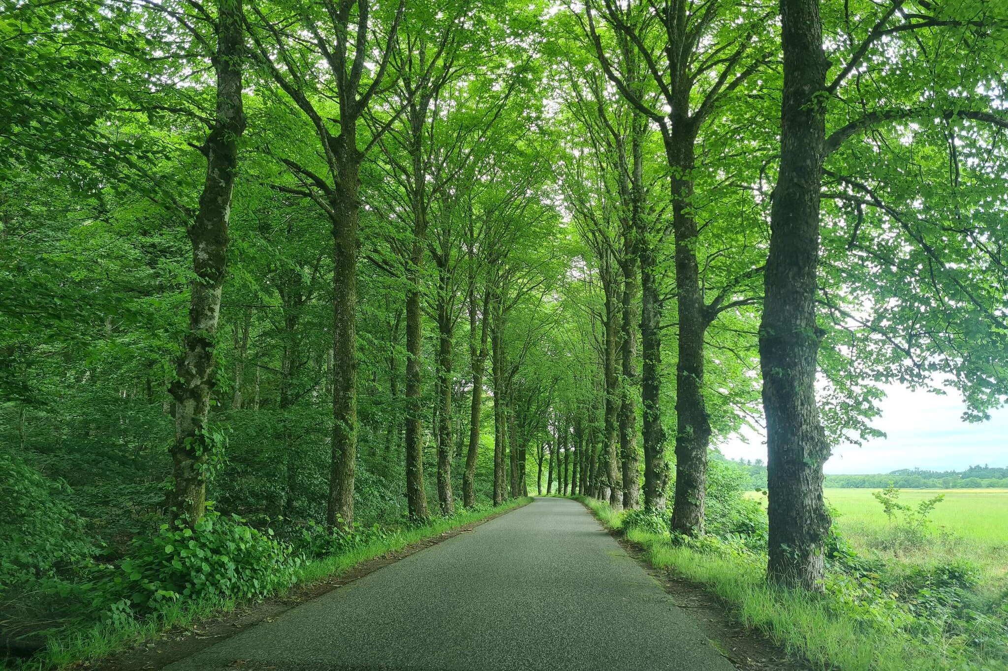 6 Personen Ferienhaus in Øster Assels-By Traum-Nicht zugeordnet