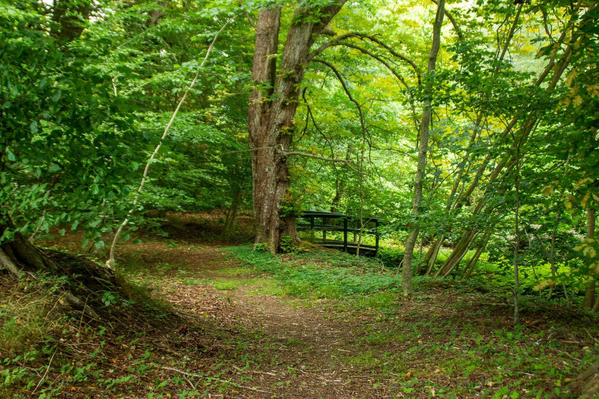 6 Personen Ferienhaus in Øster Assels-By Traum-Nicht zugeordnet