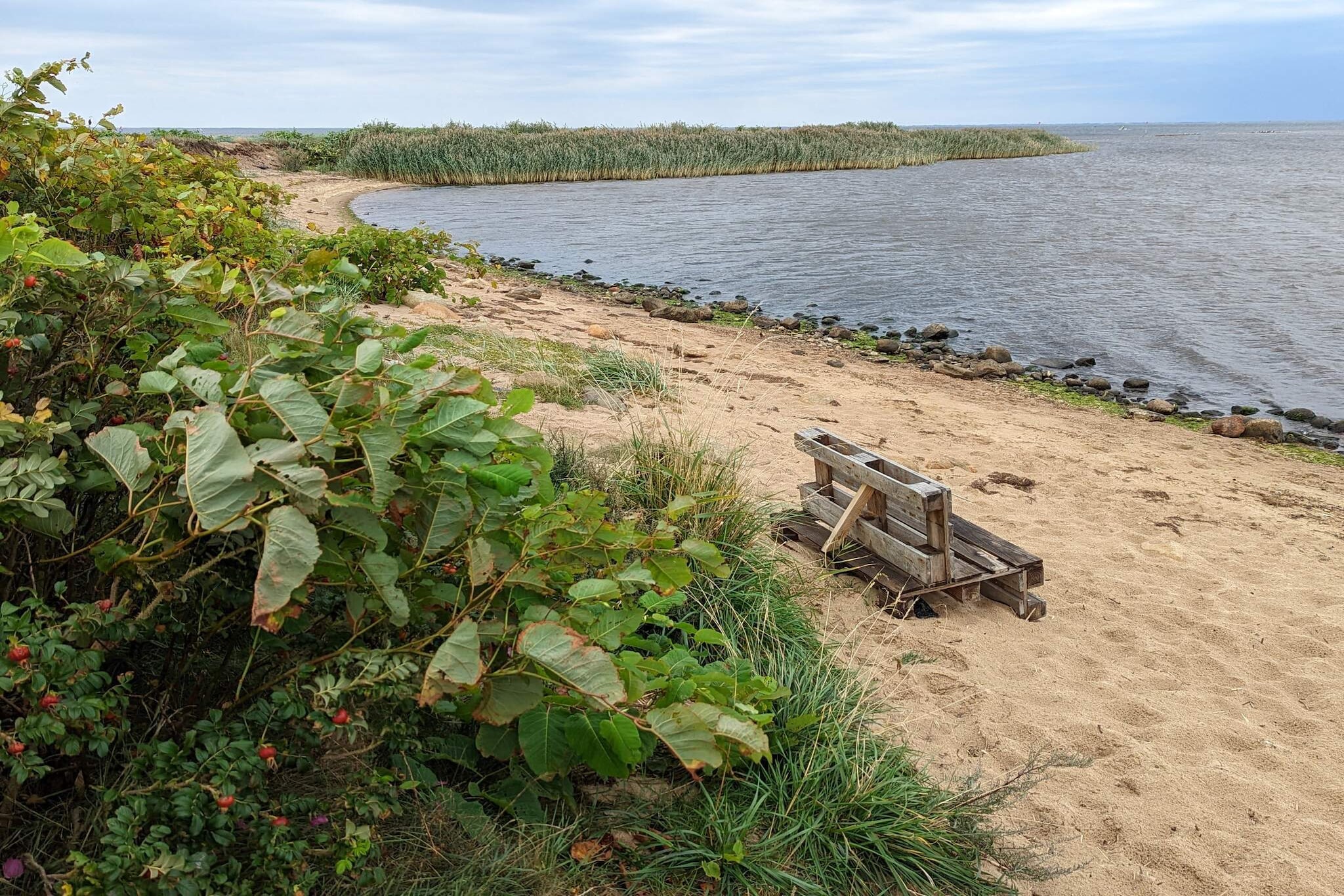 Rustige oase bij fjord -- By Traum Ferienwohnungen-Waterzicht
