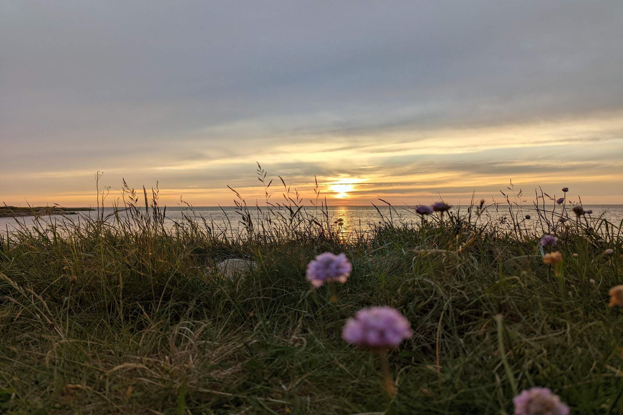 Rustige oase bij fjord -- By Traum Ferienwohnungen-Niet-getagd