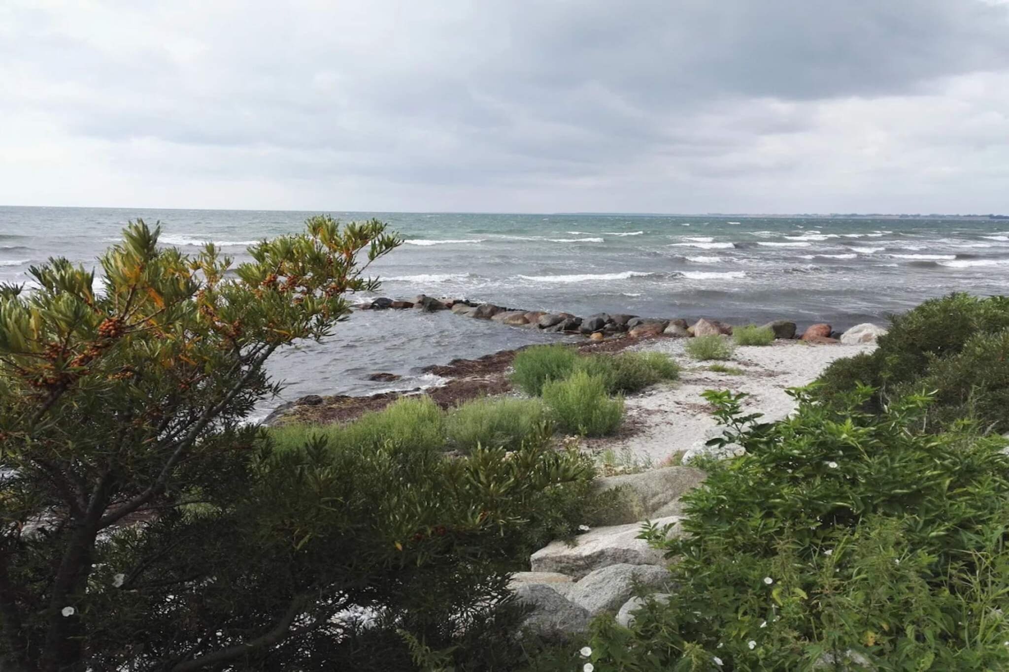 Water View