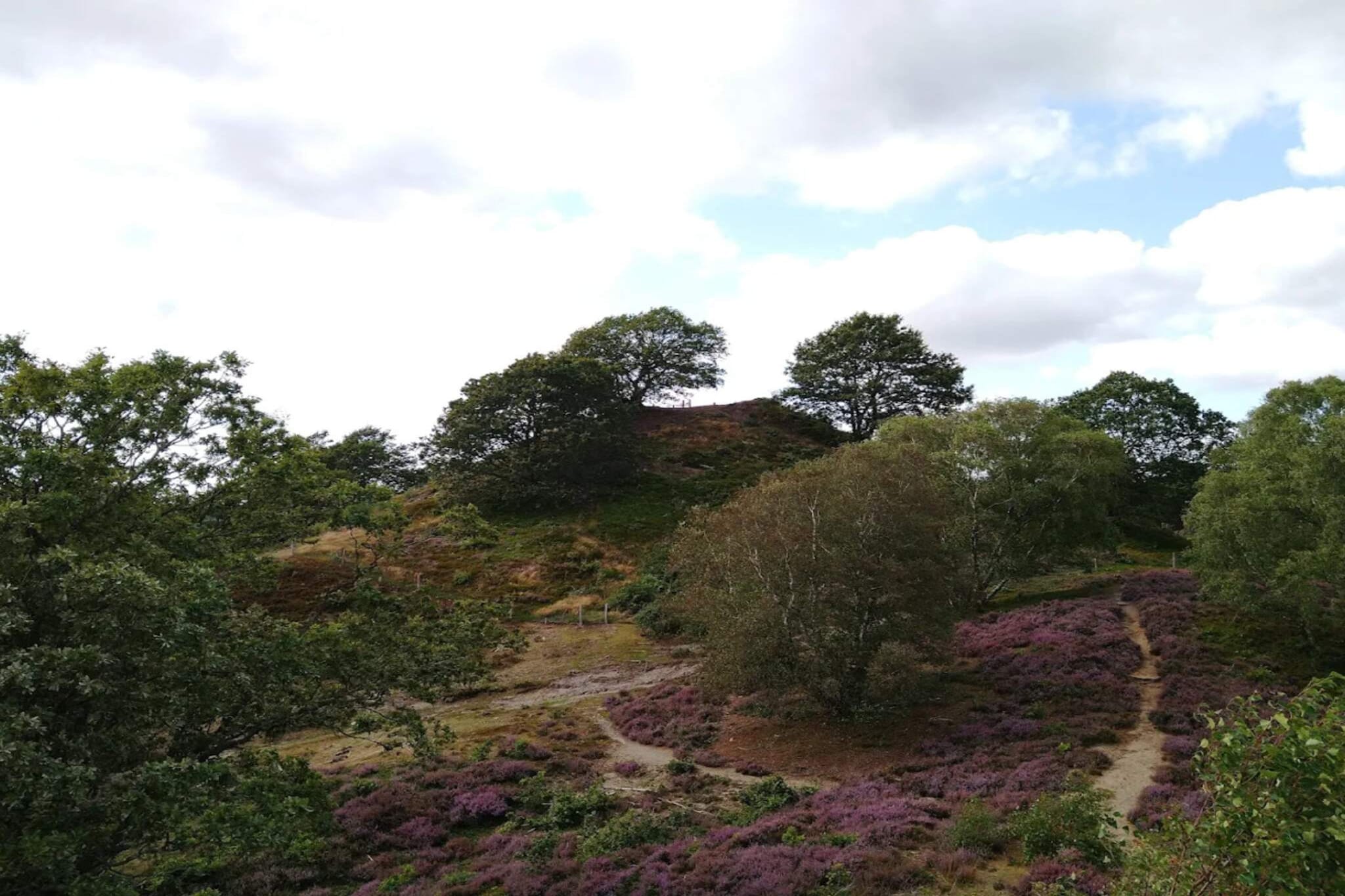 8 person holiday home in Gjern-By Traum