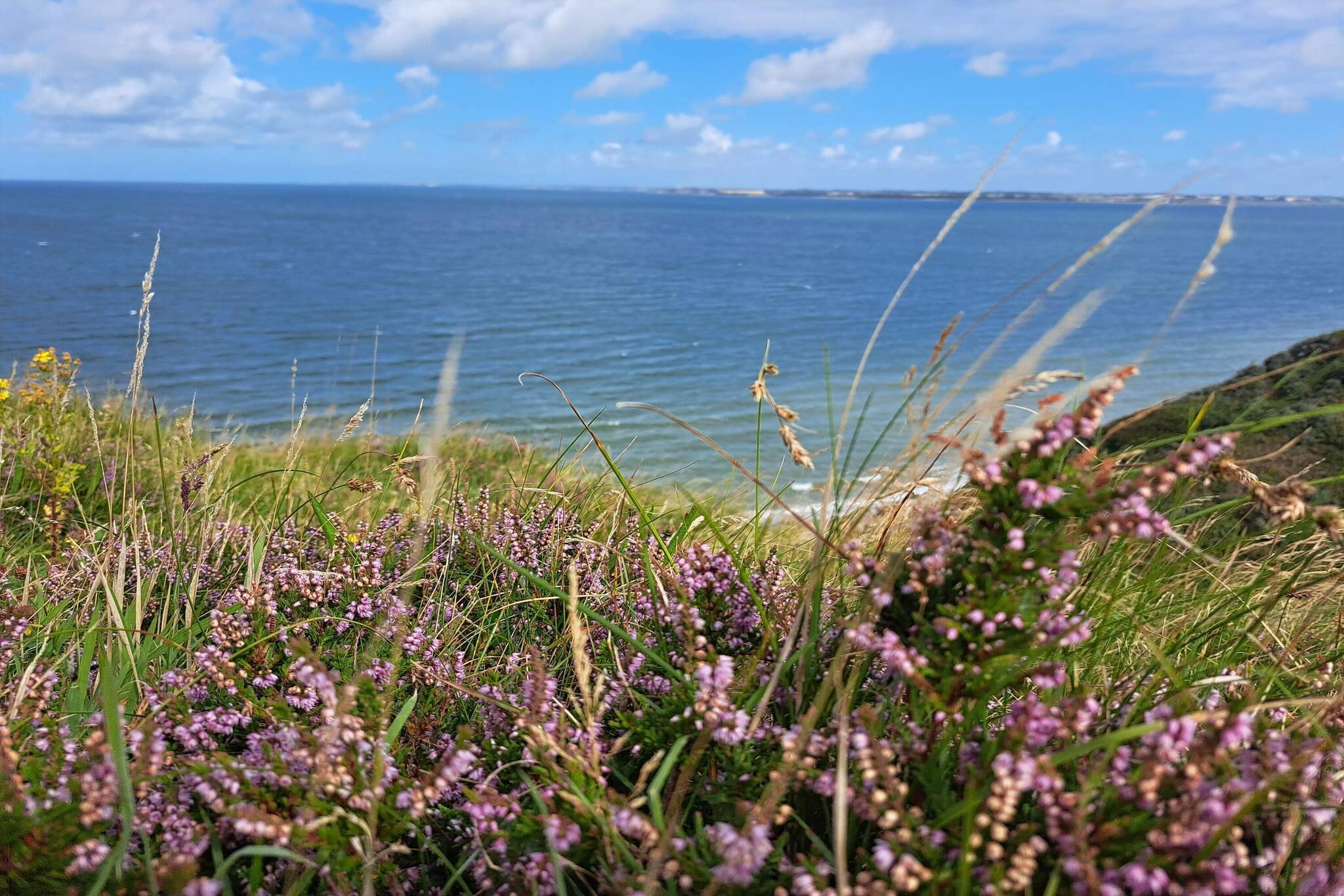 7 persoons vakantie huis in Struer-By Traum-Waterzicht
