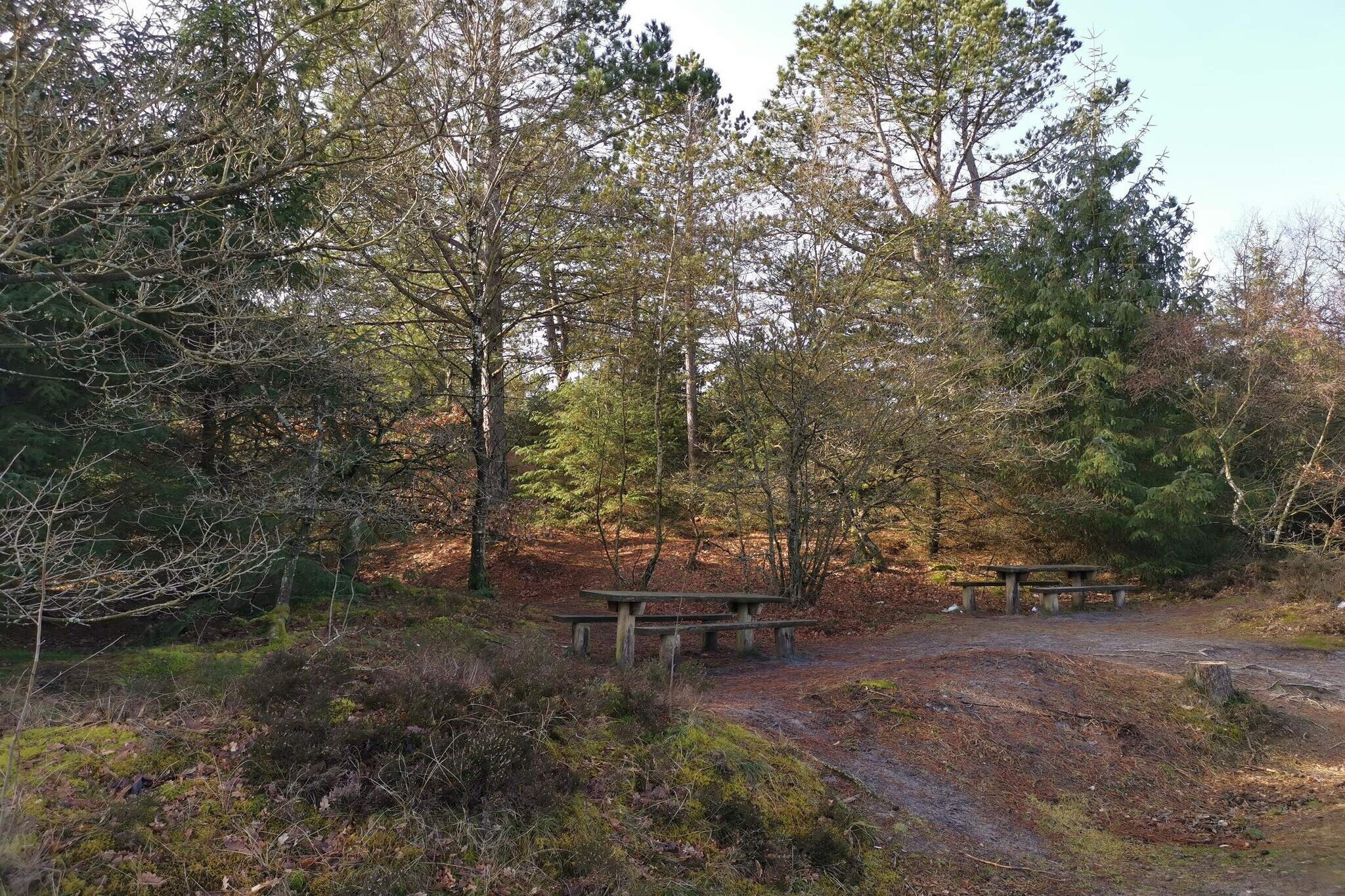 6 persoons vakantie huis in Oksbøl-Niet-getagd