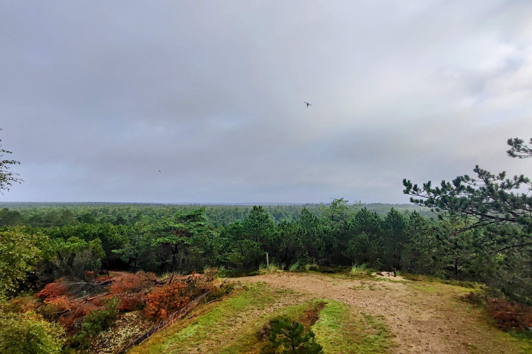 6 persoons vakantie huis in Oksbøl-Niet-getagd