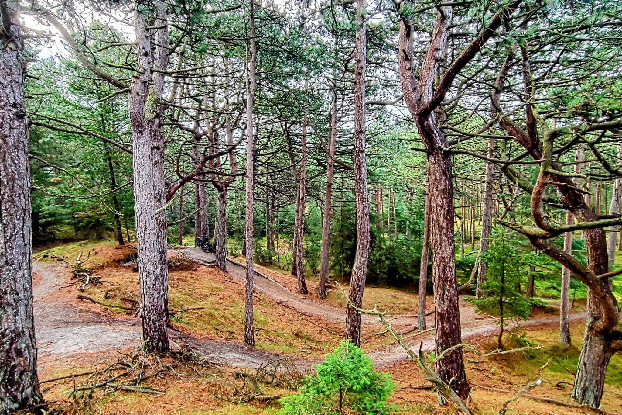 6 persoons vakantie huis in Oksbøl-Niet-getagd