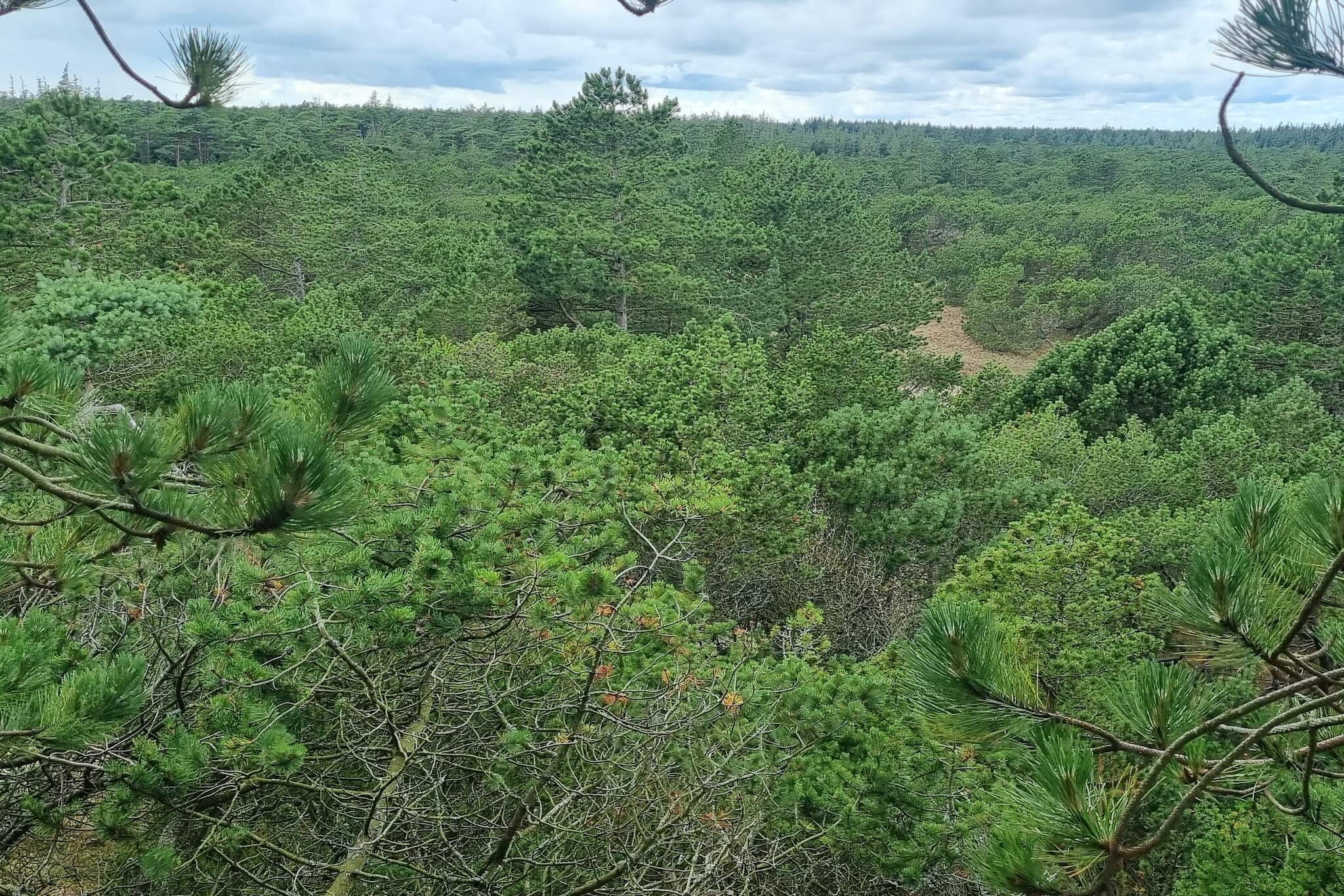 6 persoons vakantie huis in Oksbøl-Niet-getagd