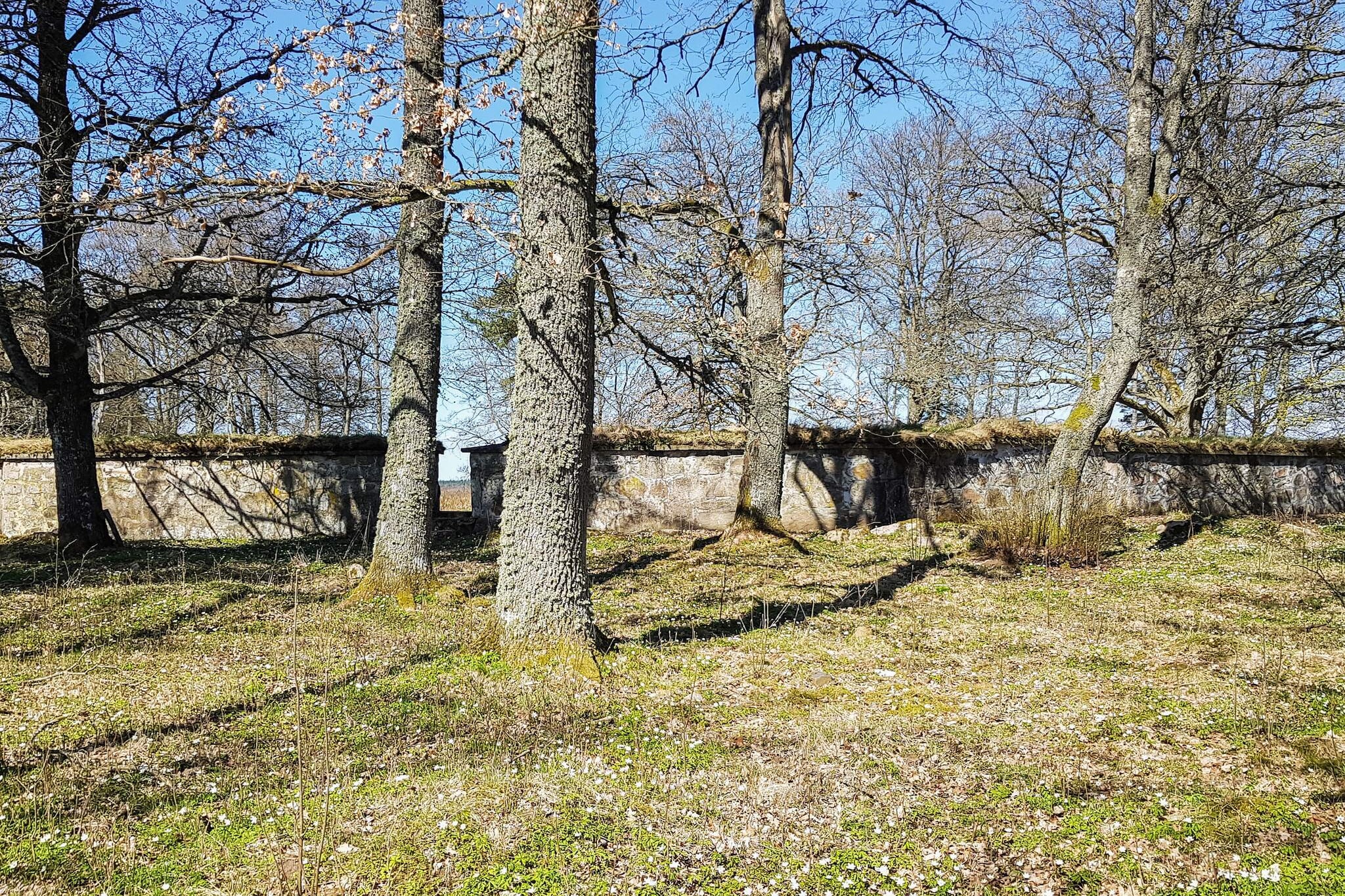 5 person holiday home in Osby-Untagged