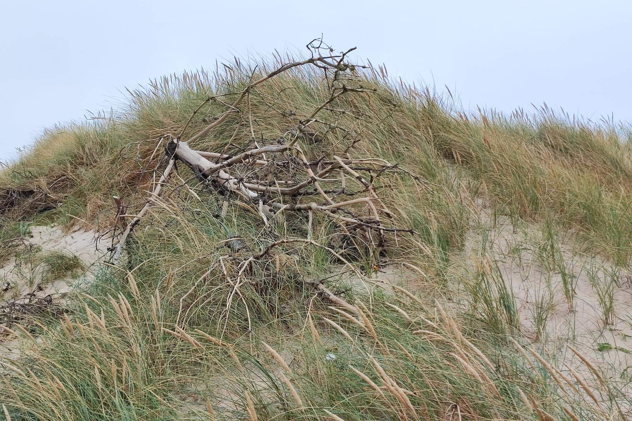 6 persoons vakantie huis in Skibby-By Traum-Niet-getagd