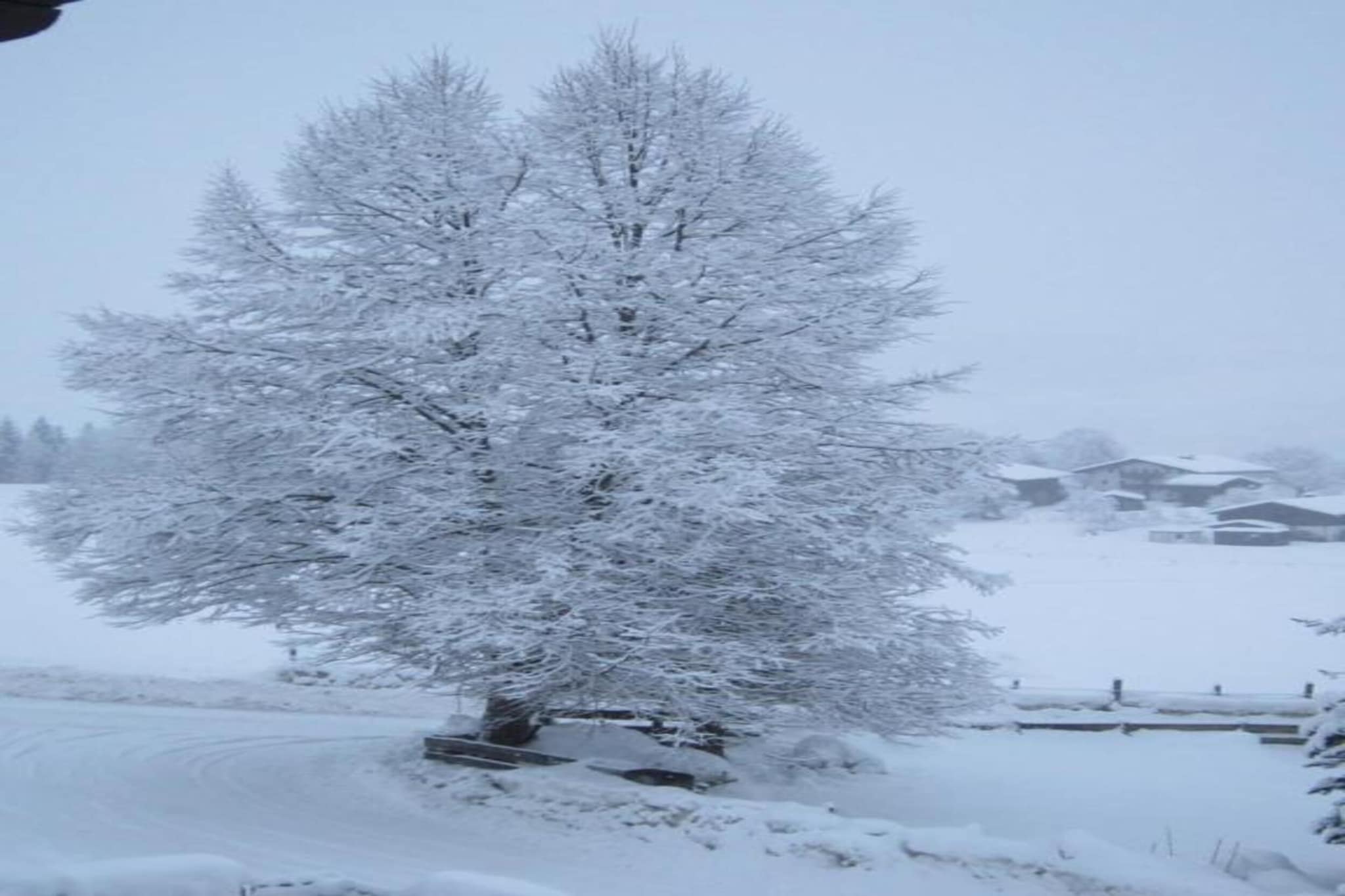 Chalet Flora-Gebied winter 20km