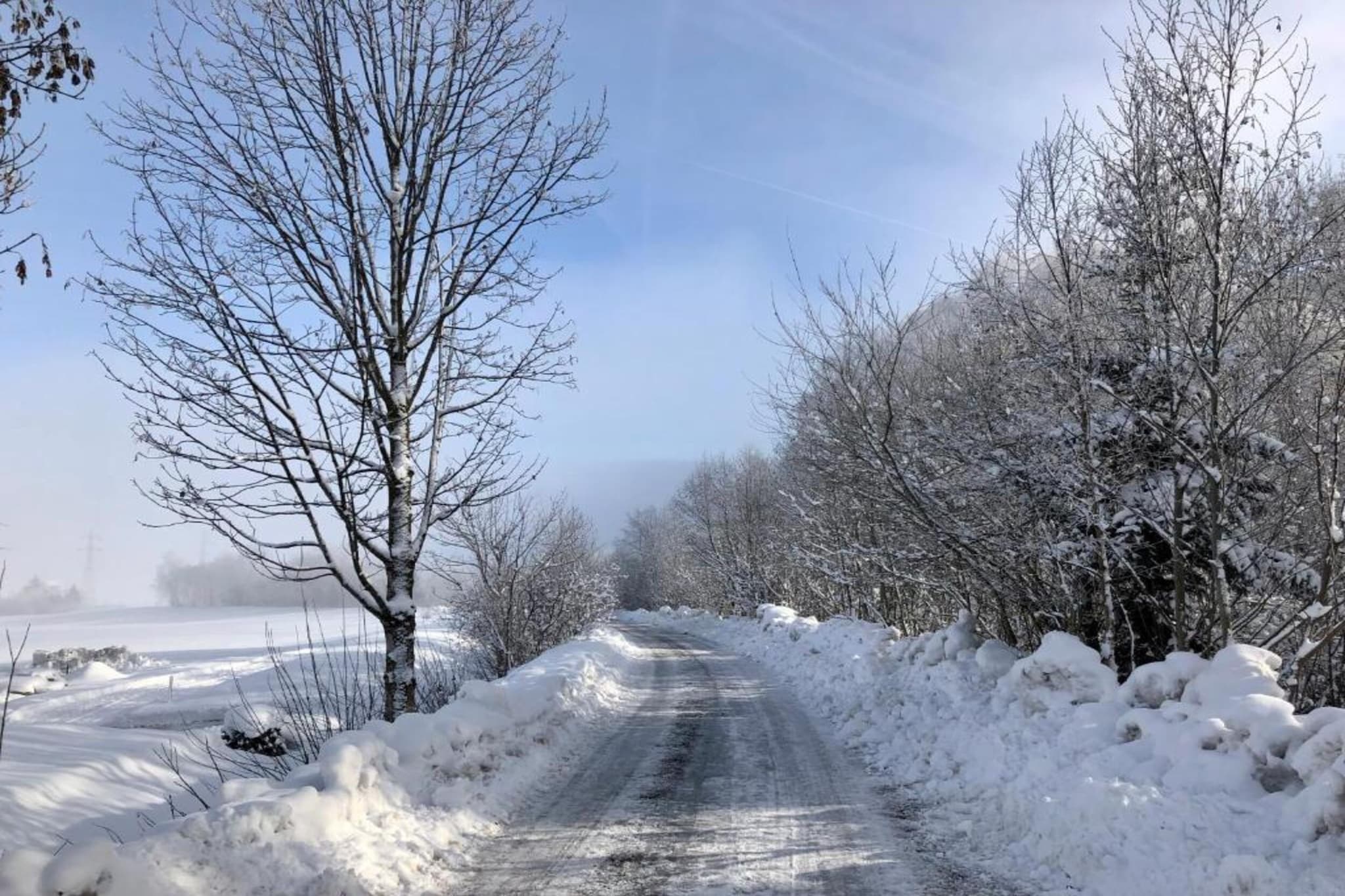Chalet Flora-Gebied winter 20km