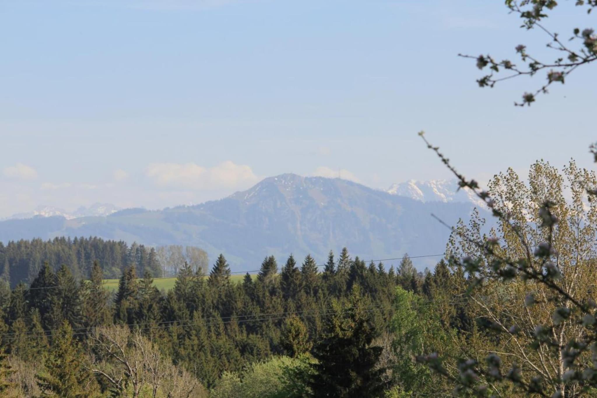 Bayerischer Wald-Gebieden zomer 5km