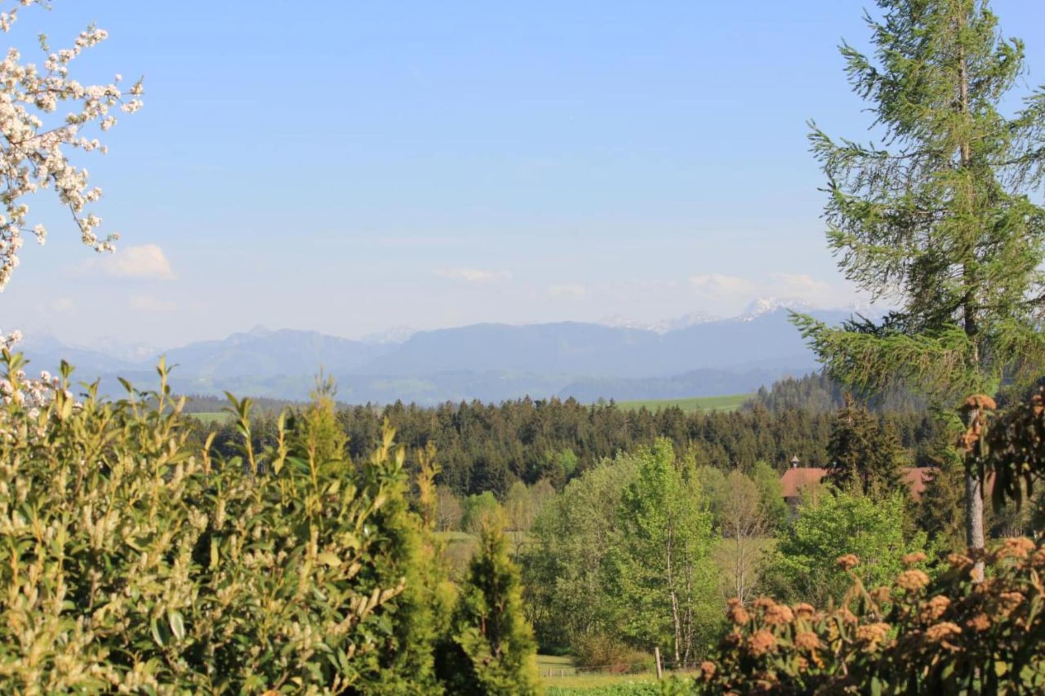 Bayerischer Wald-Gebieden zomer 5km