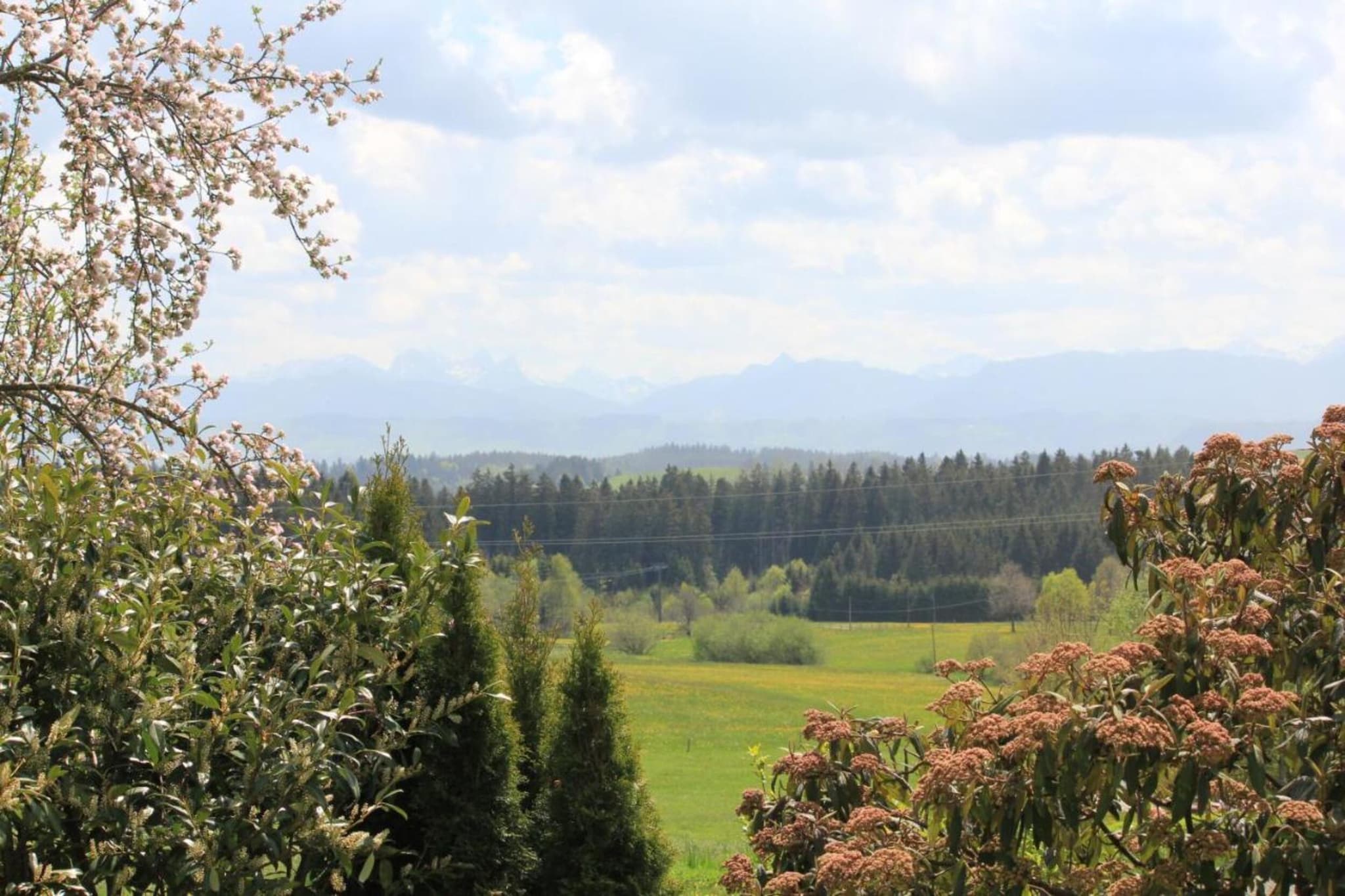 Bayerischer Wald-Gebieden zomer 5km