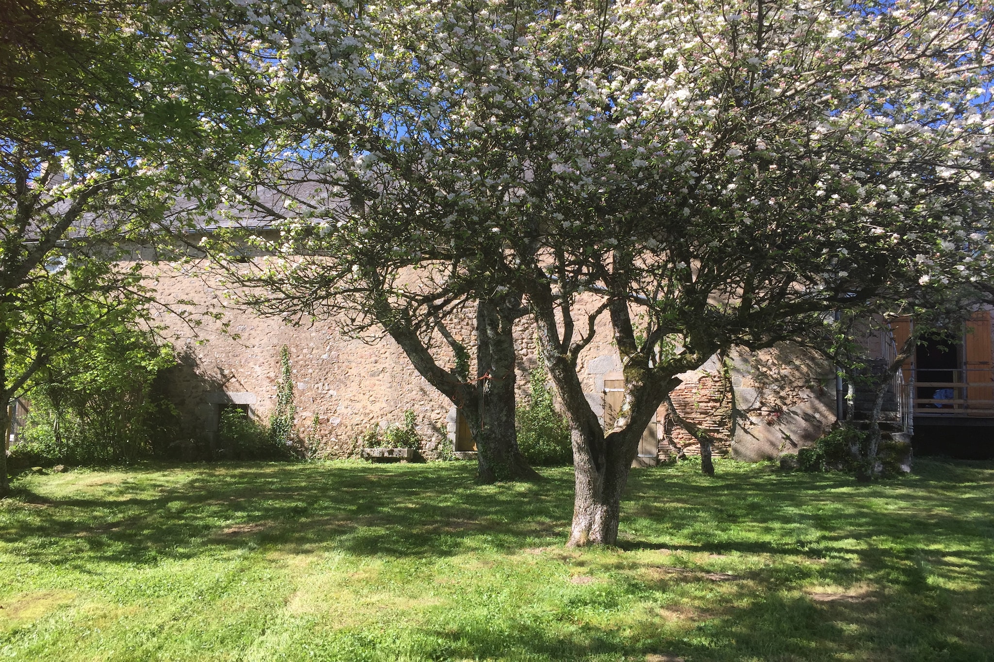 Garden Summer