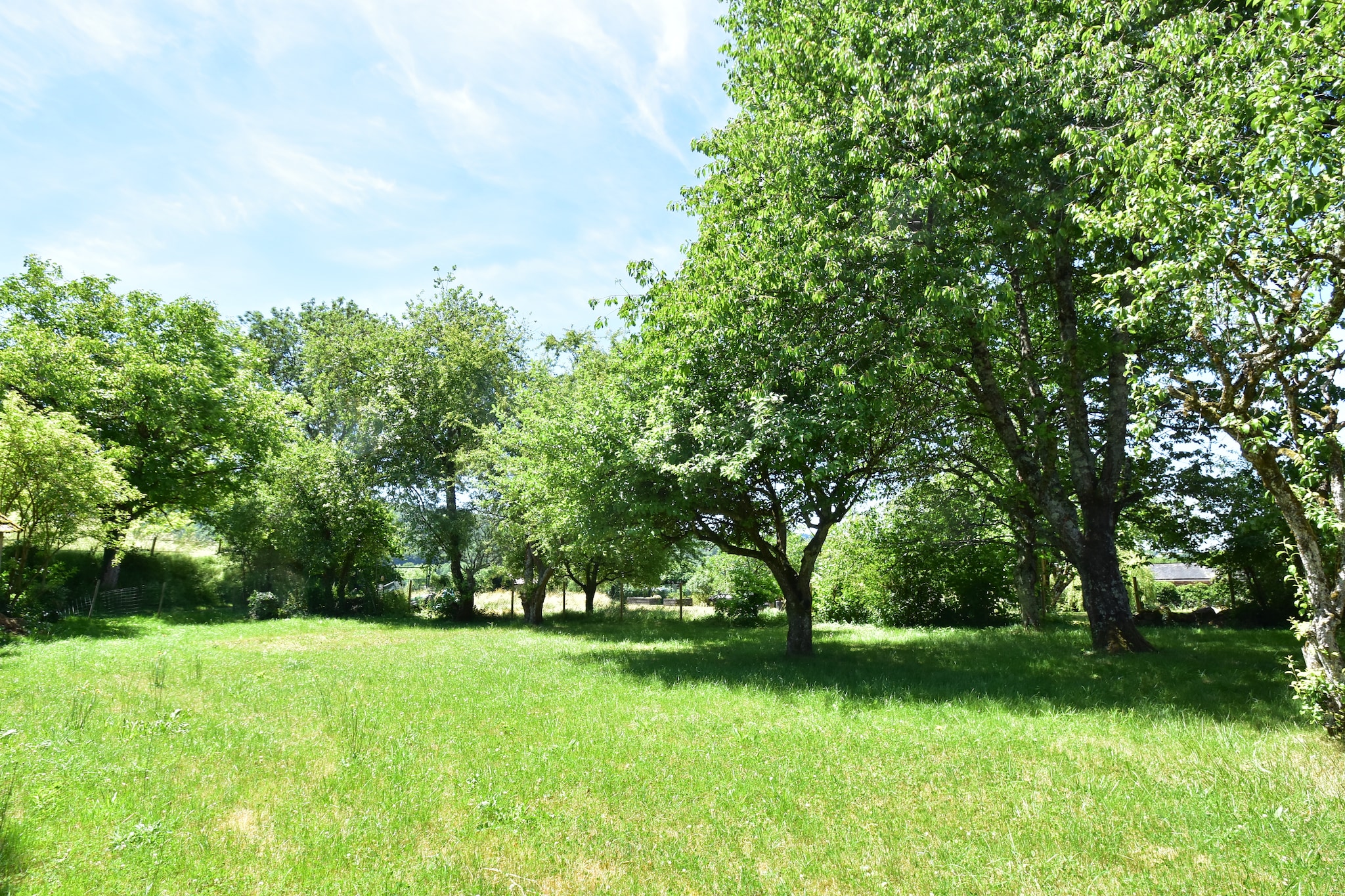 Garden Summer